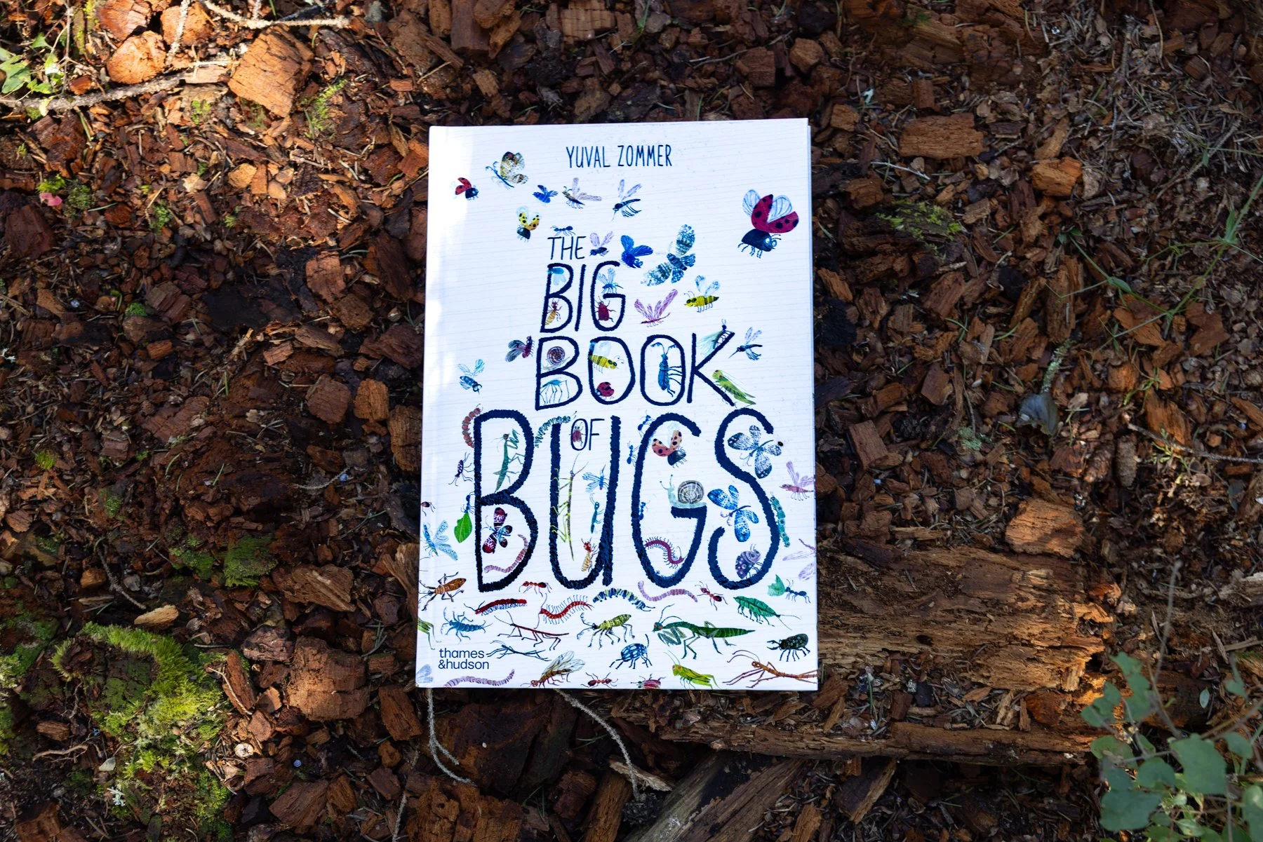 The Big Book of Bugs