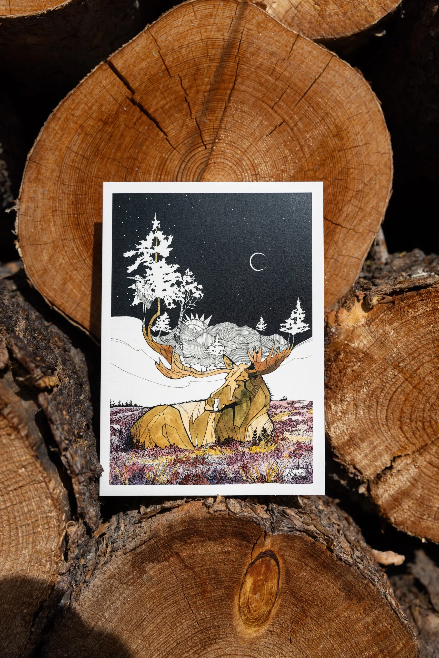 Mattie Rose Art Cards