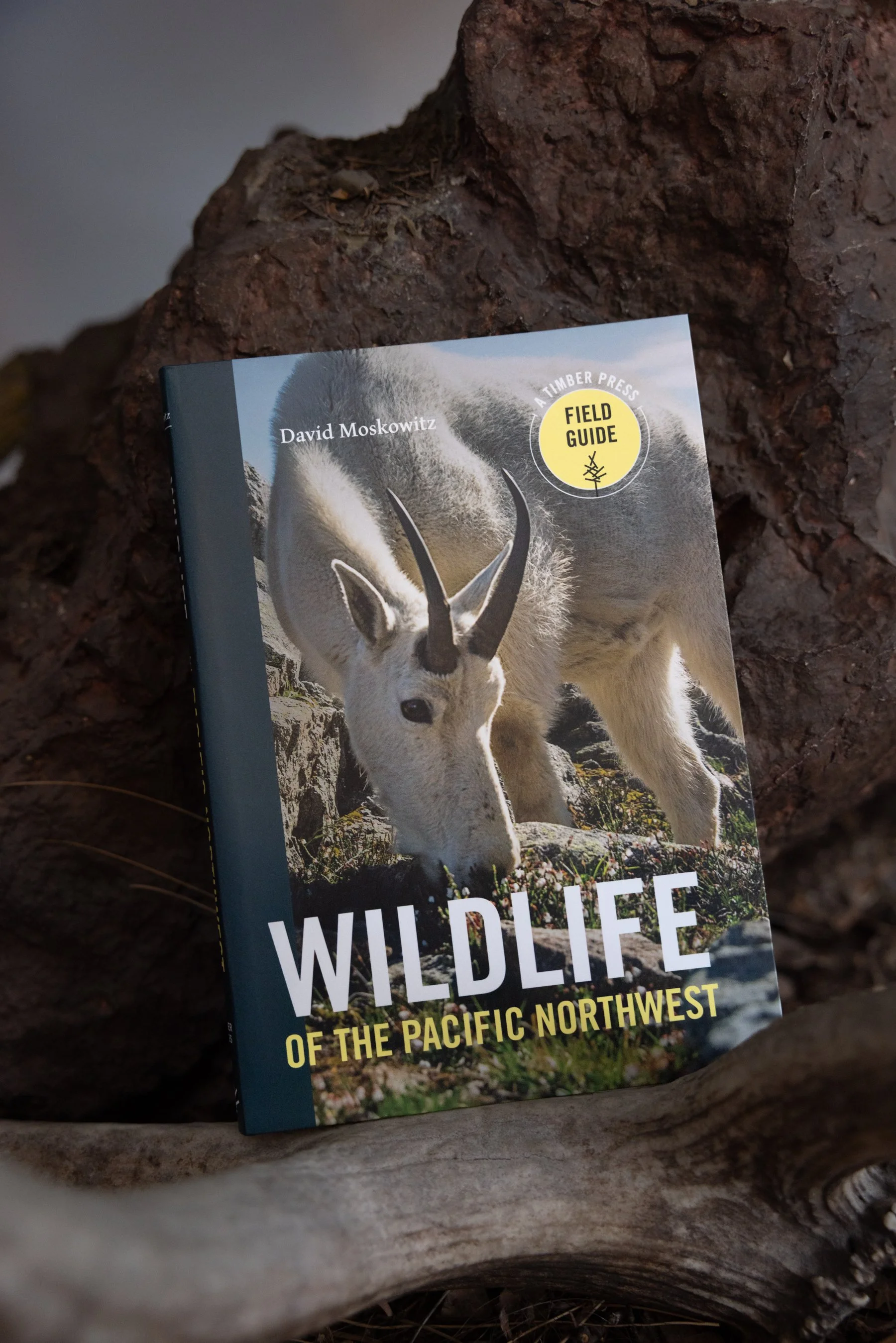 Wildlife of the Pacific Northwest by David Moskowitz