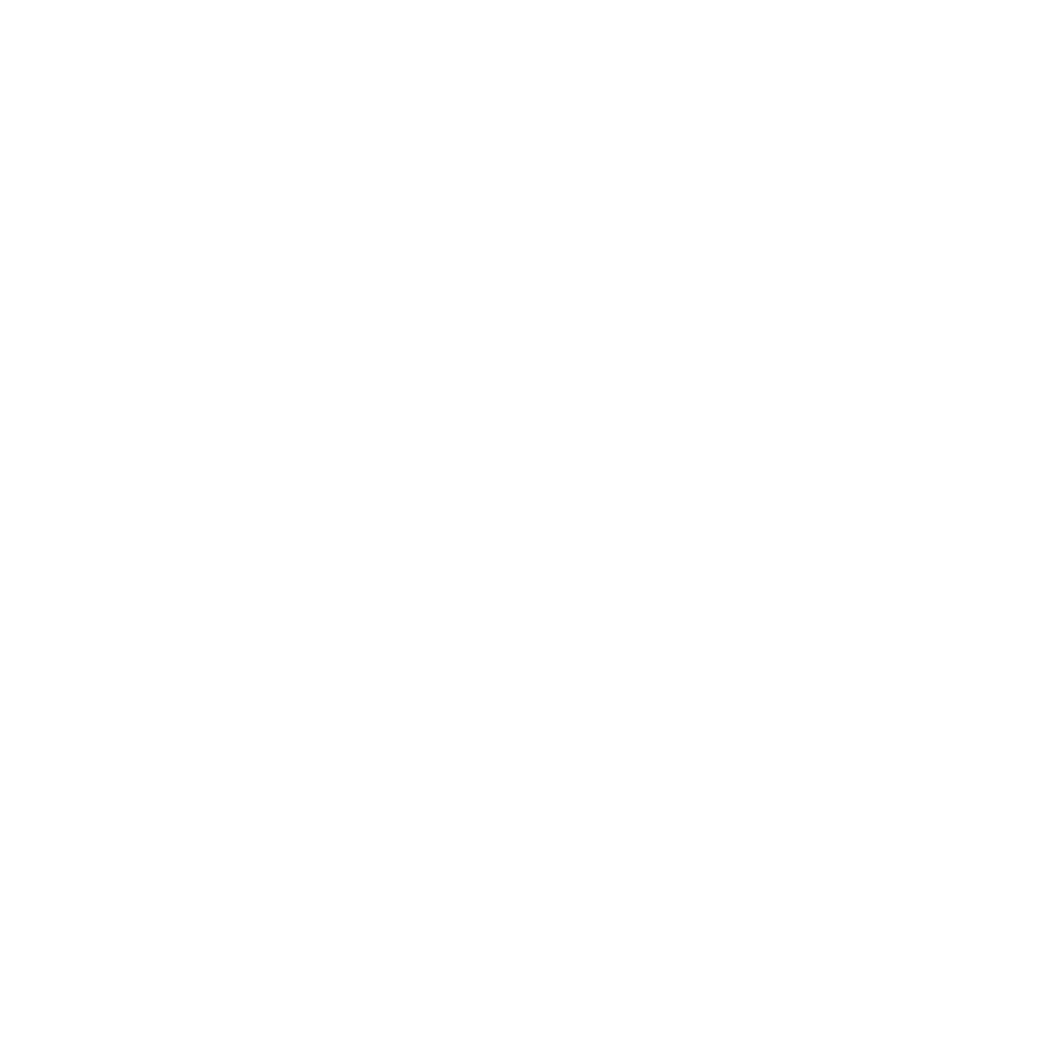 Black Health Connect