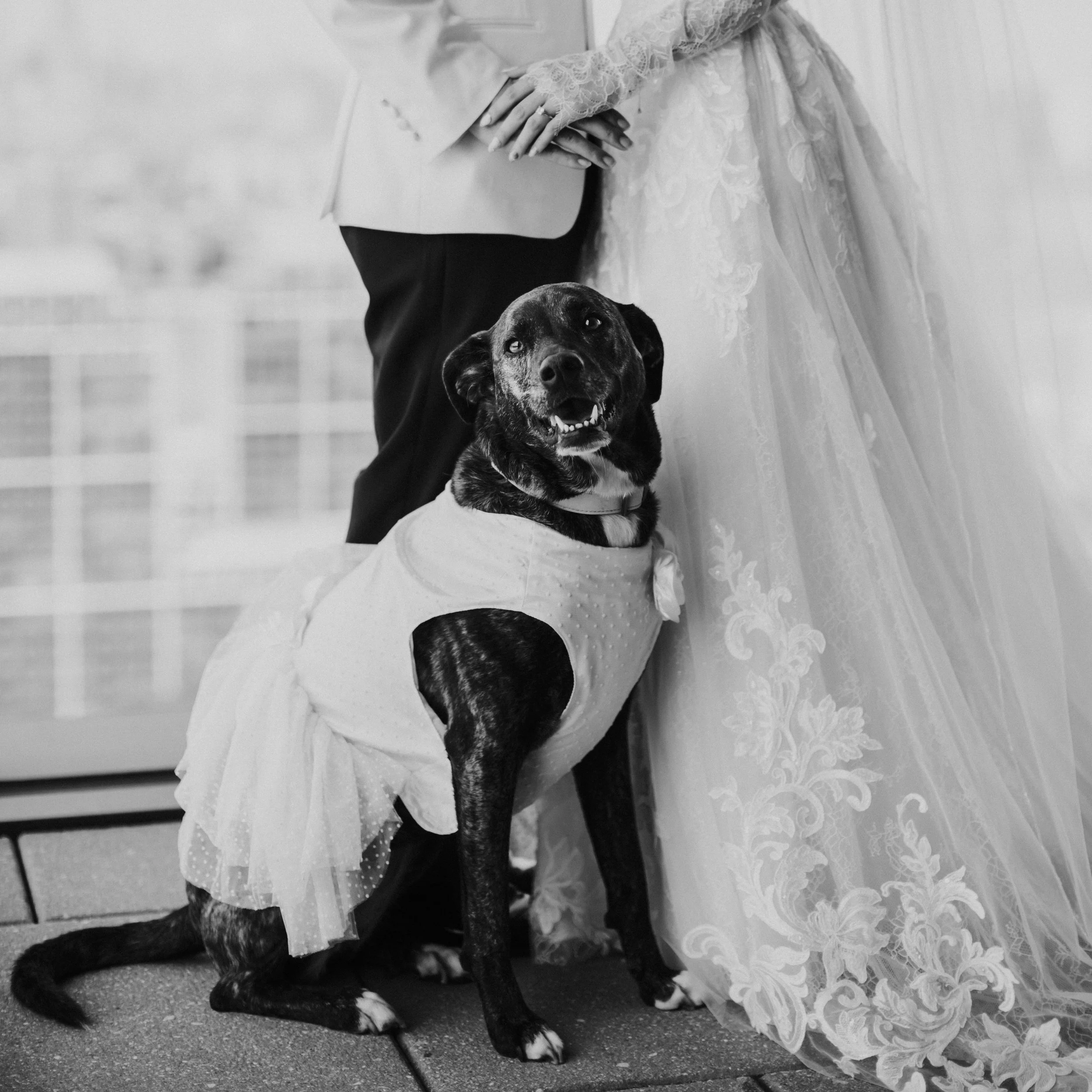 Sarah and Andrew Preview 10.jpg