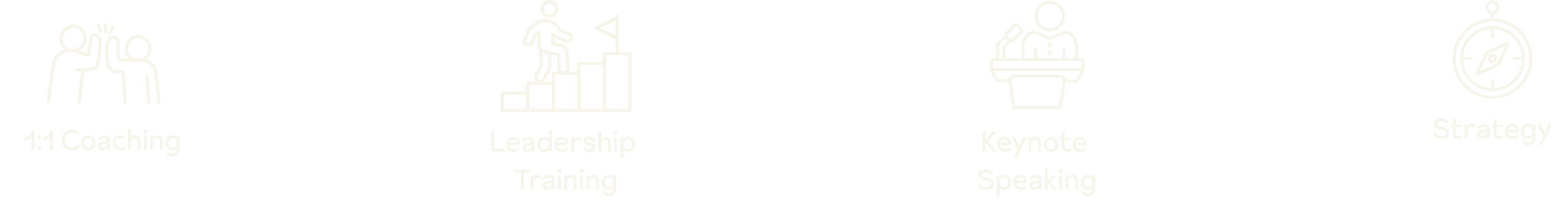 Illustrations of training and coaching activities: a handshaking for 1:1 coaching, a person climbing a bar chart for leadership training, a person speaking at a podium for keynote speaking, and a compass for strategy.