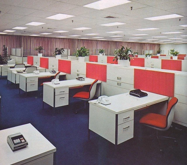 The White Collar Sweatshop