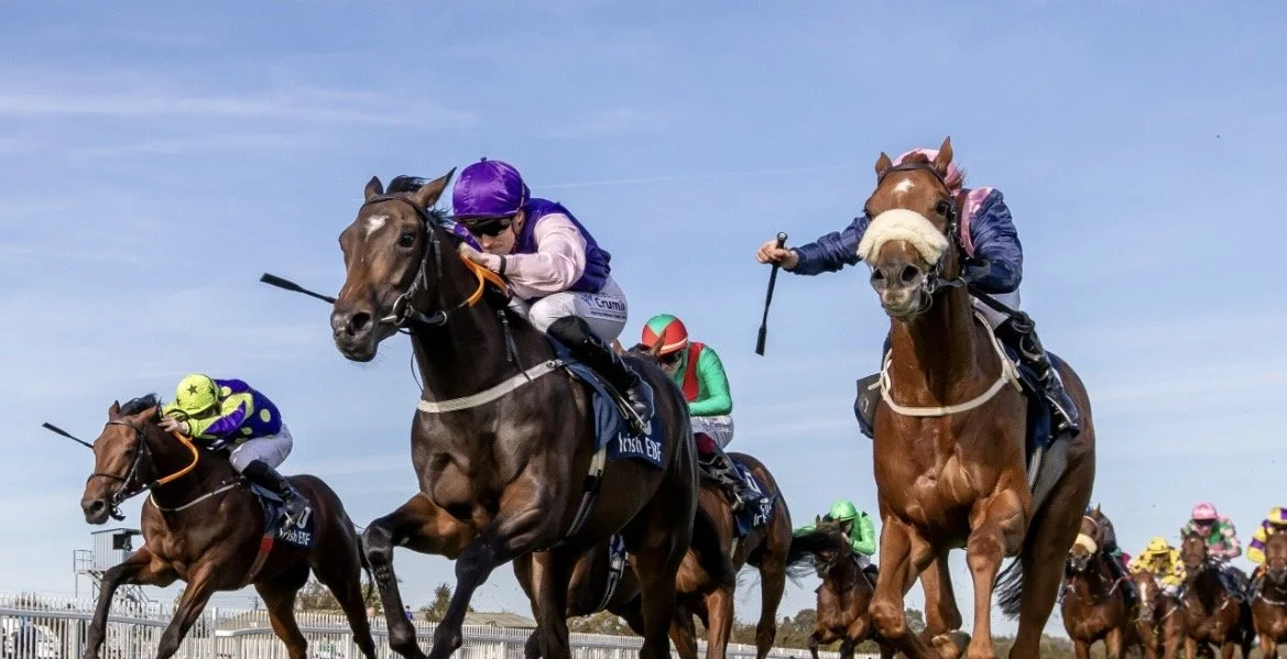 NIGHT AT THE RACES 
