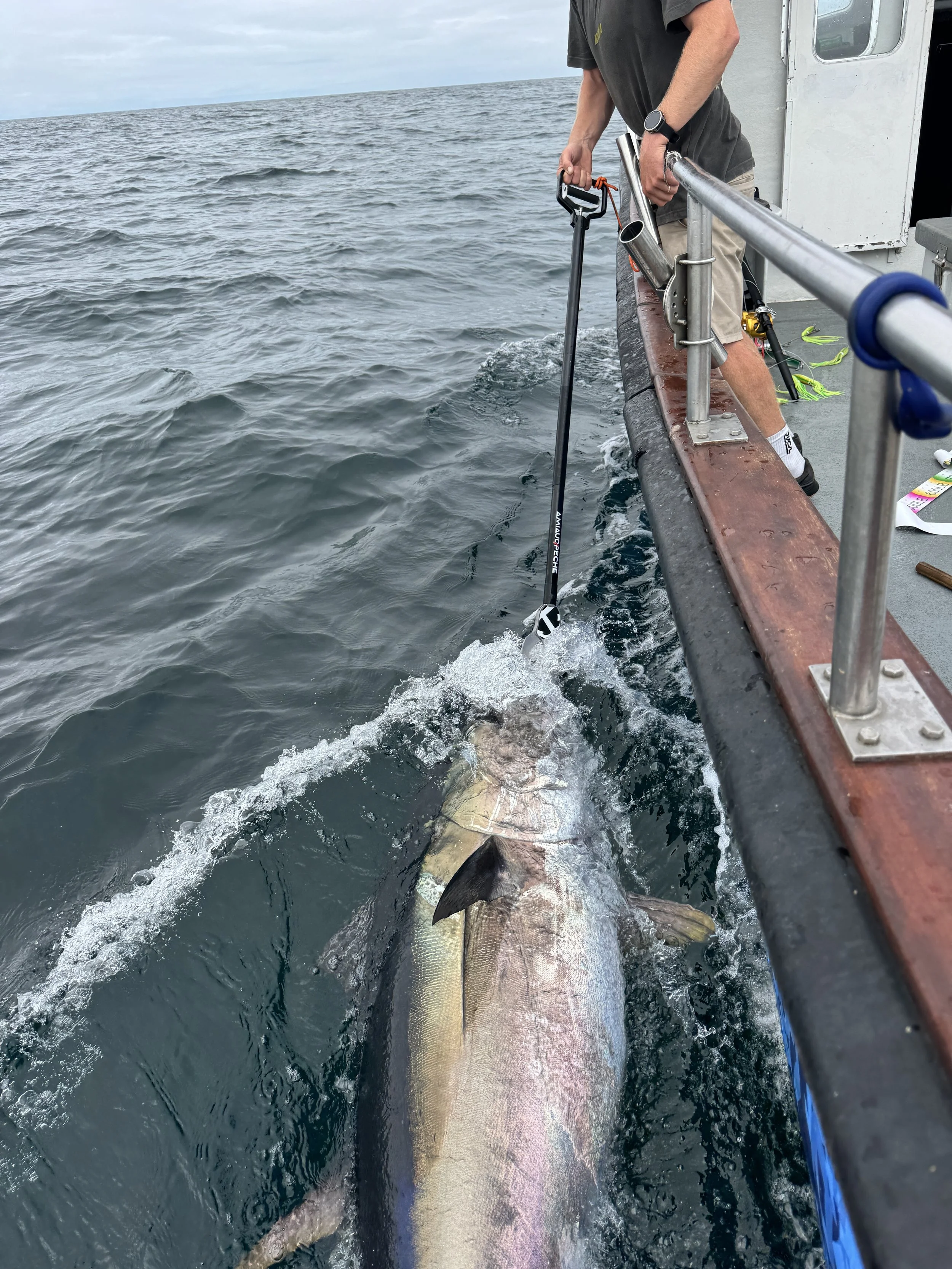 Man holding a large fish with a fishgrip on a boat in open water.