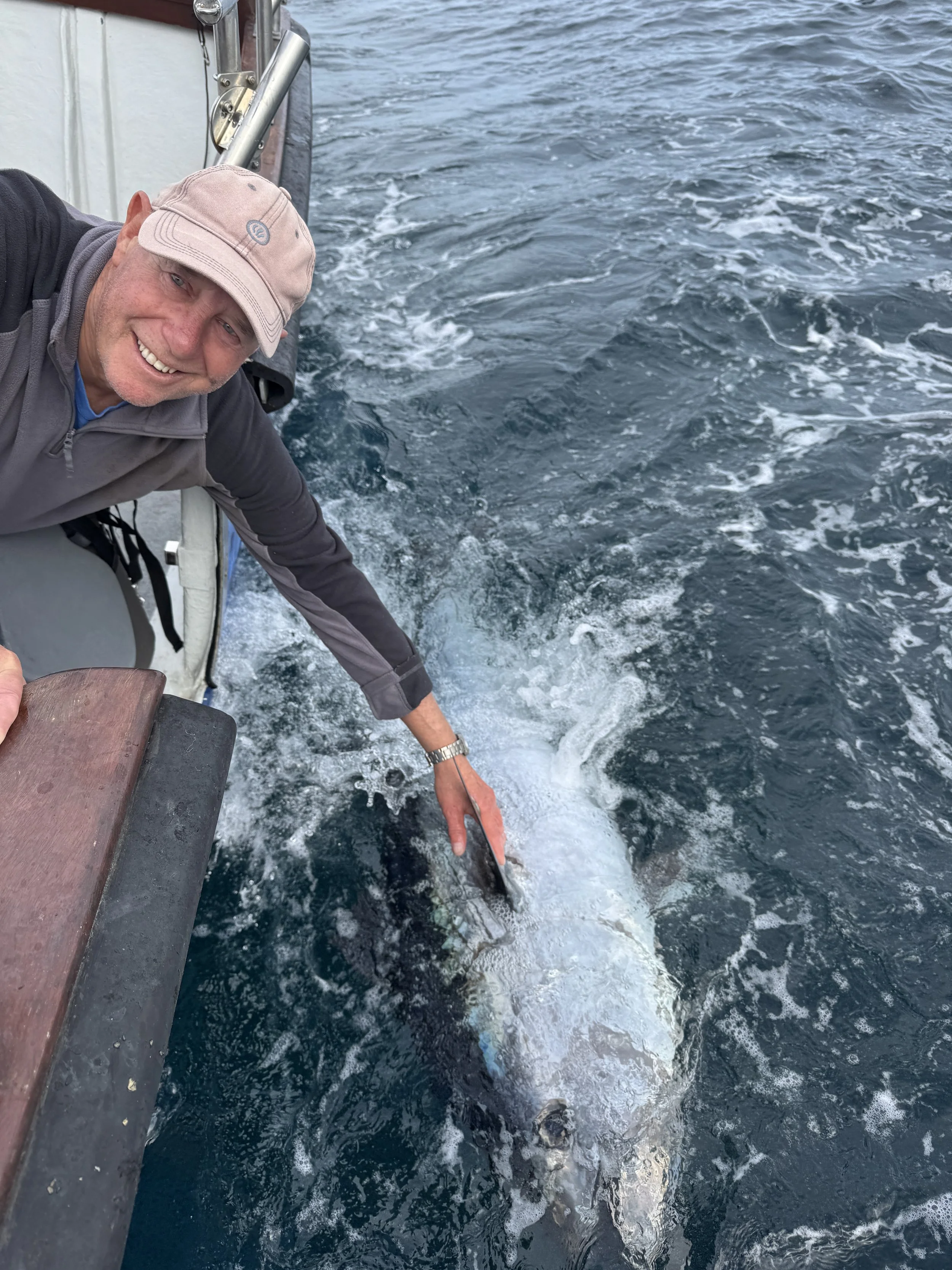 A man smiling and leaning over the side of a boat while holding a large fish in the water.