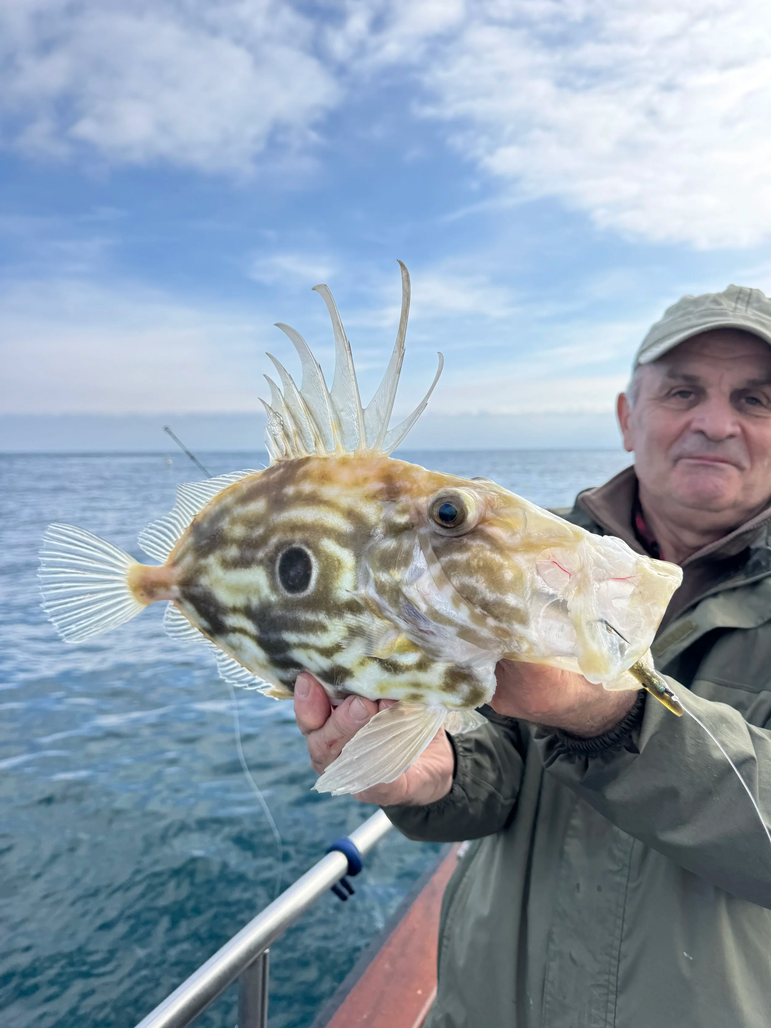 Man holding a large fish with a patterned body and spines on its back, on a boat in the ocean under a cloudy sky.