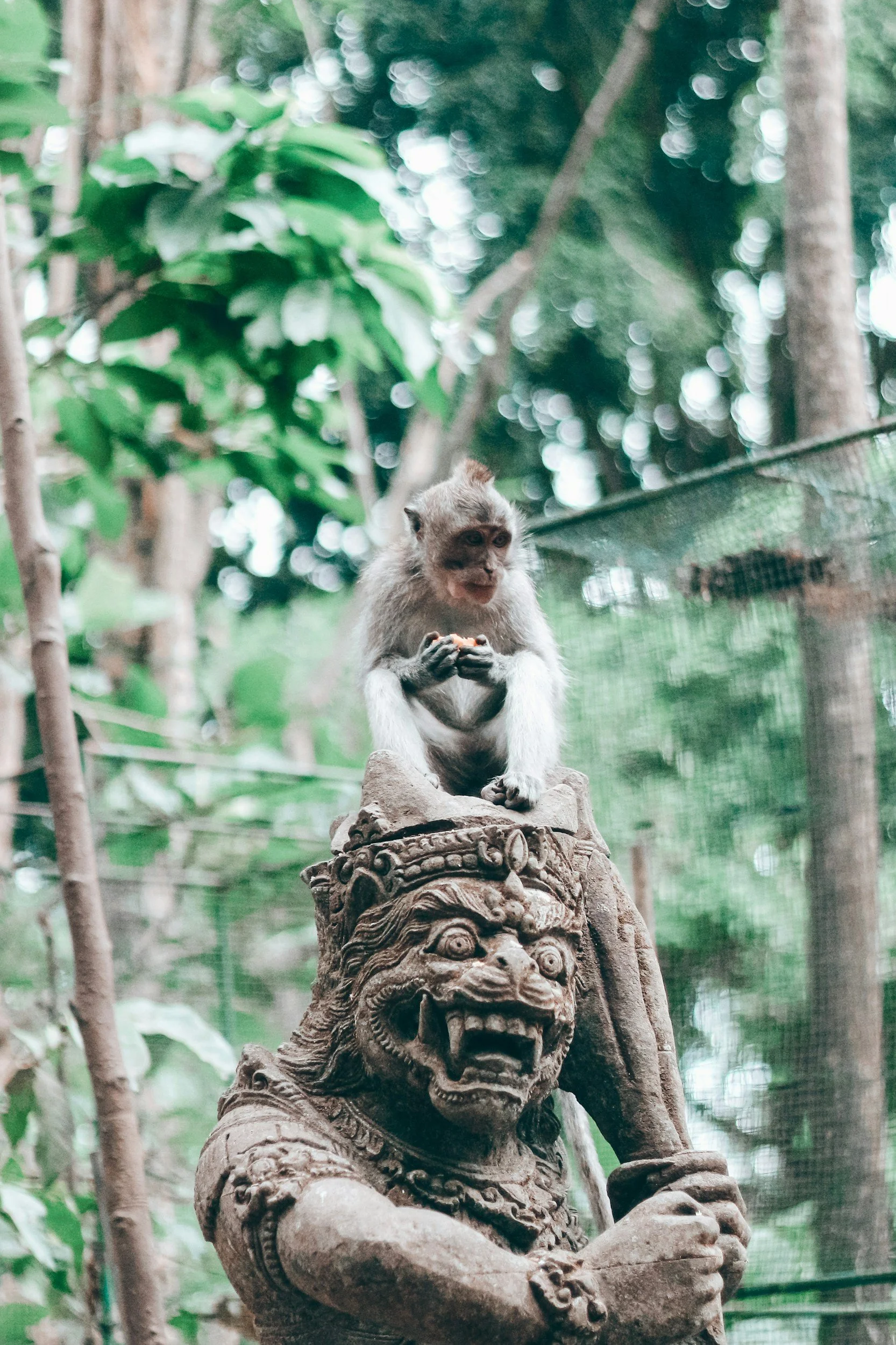 A monkey sitting on top of a decorative stone sculpture of an Asian mythological creature in a lush green forest.