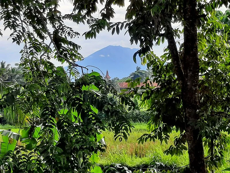 1648964968_Cend_Agung_339_w2.jpg