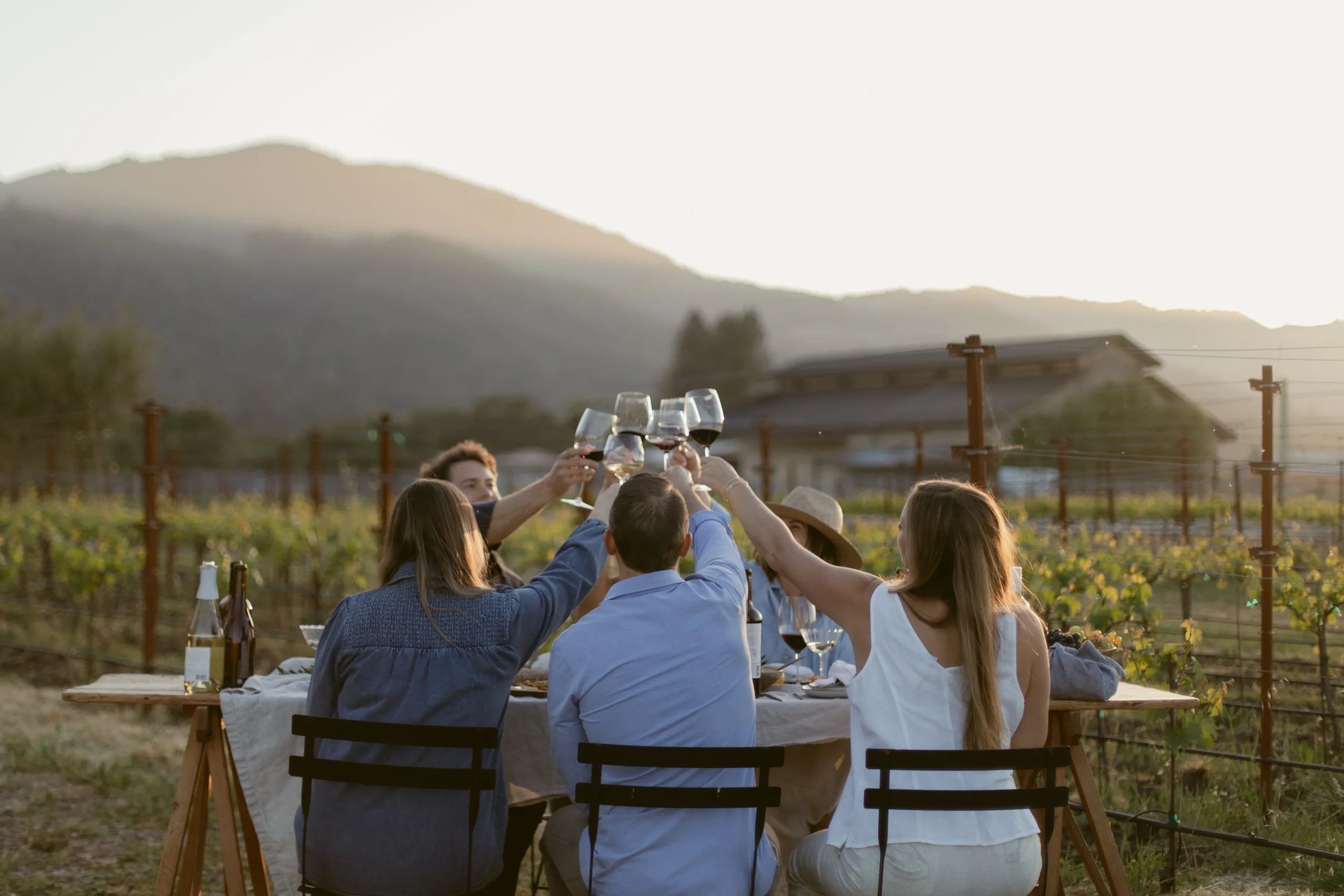 OH_Vineyard_Dinner-135.jpg.webp