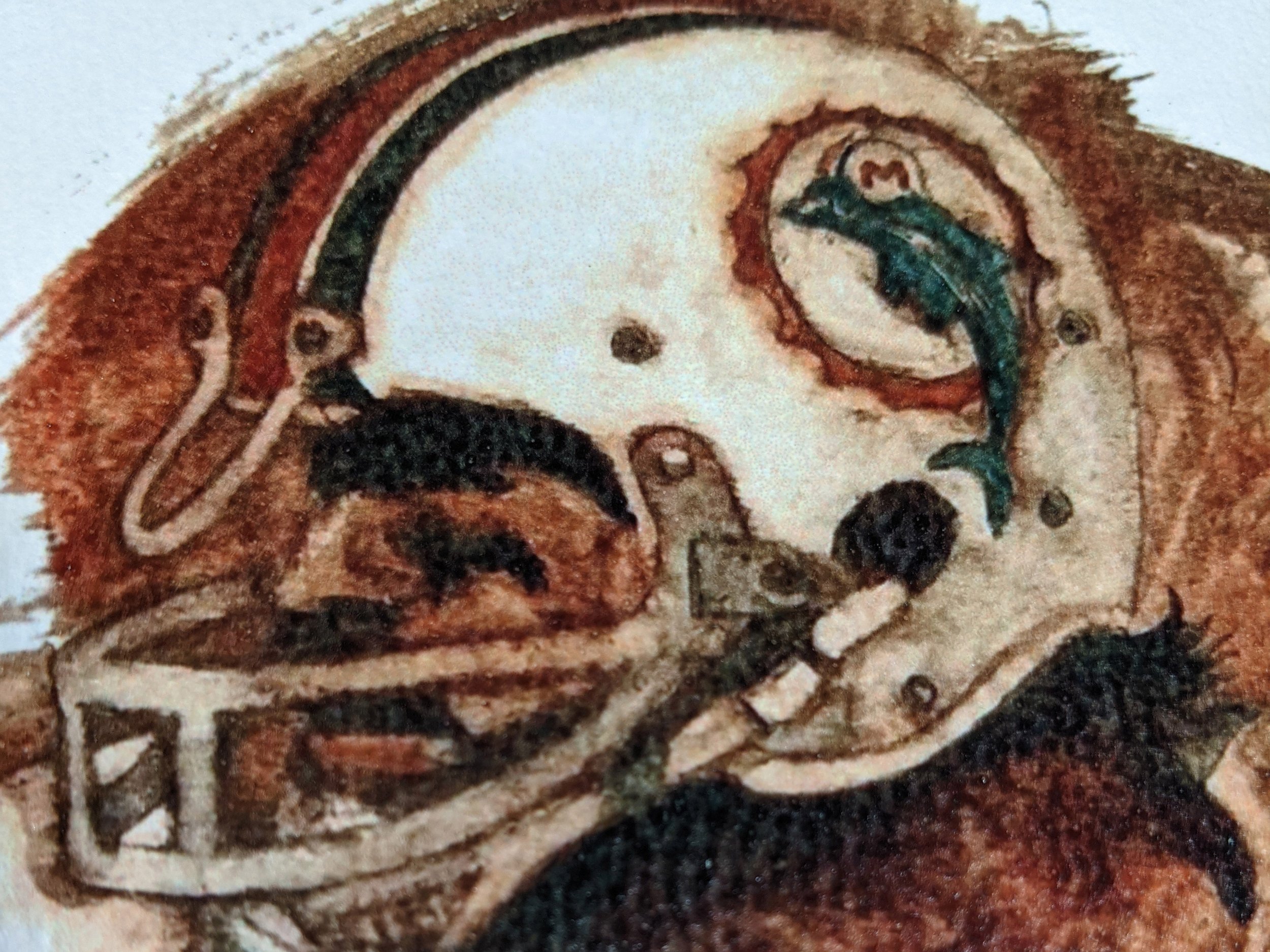 CSONKA CU.jpg