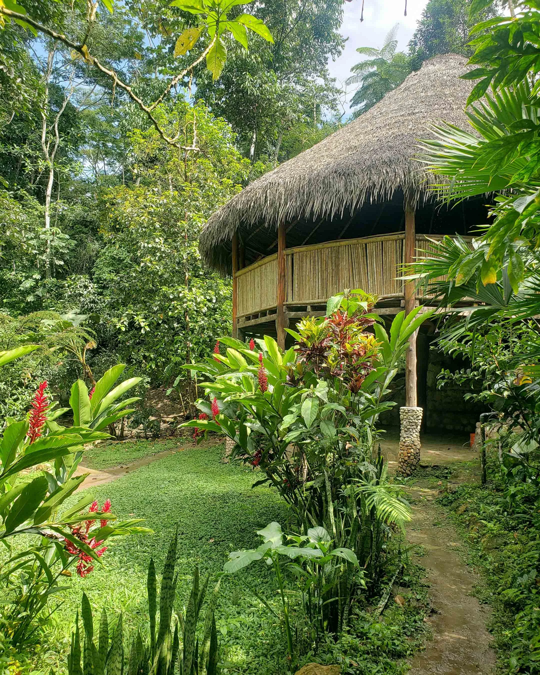 what is an ayahuasca dieta?