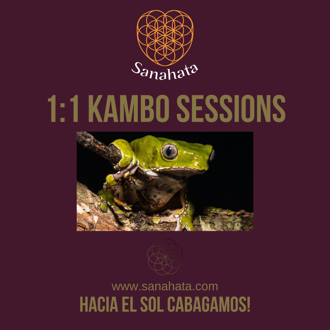 1:1 Kambo sessions