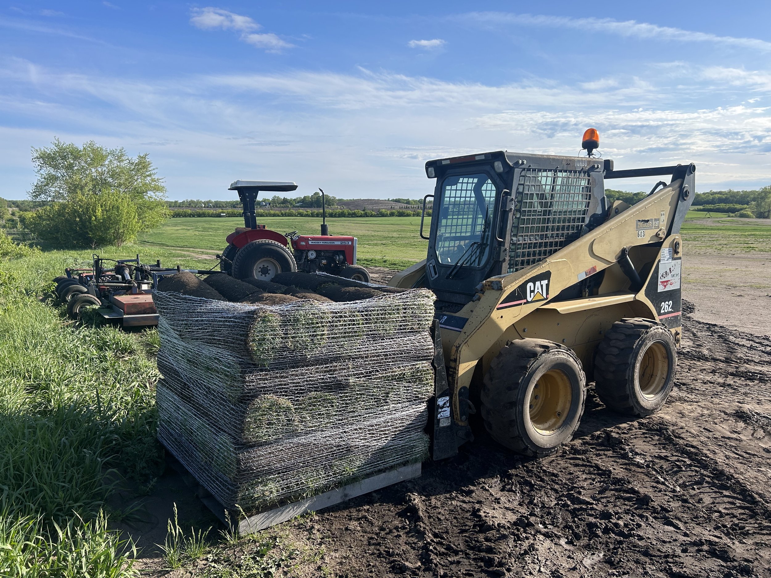 Full pallet of Kentucky Bluegrass sod ready to be loaded