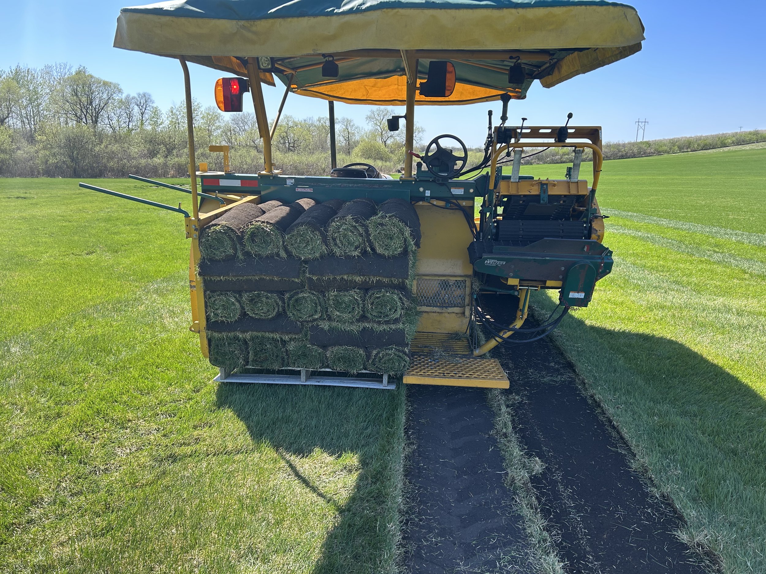 Full load of Kentucky Bluegrass Sod on the back of the harvester