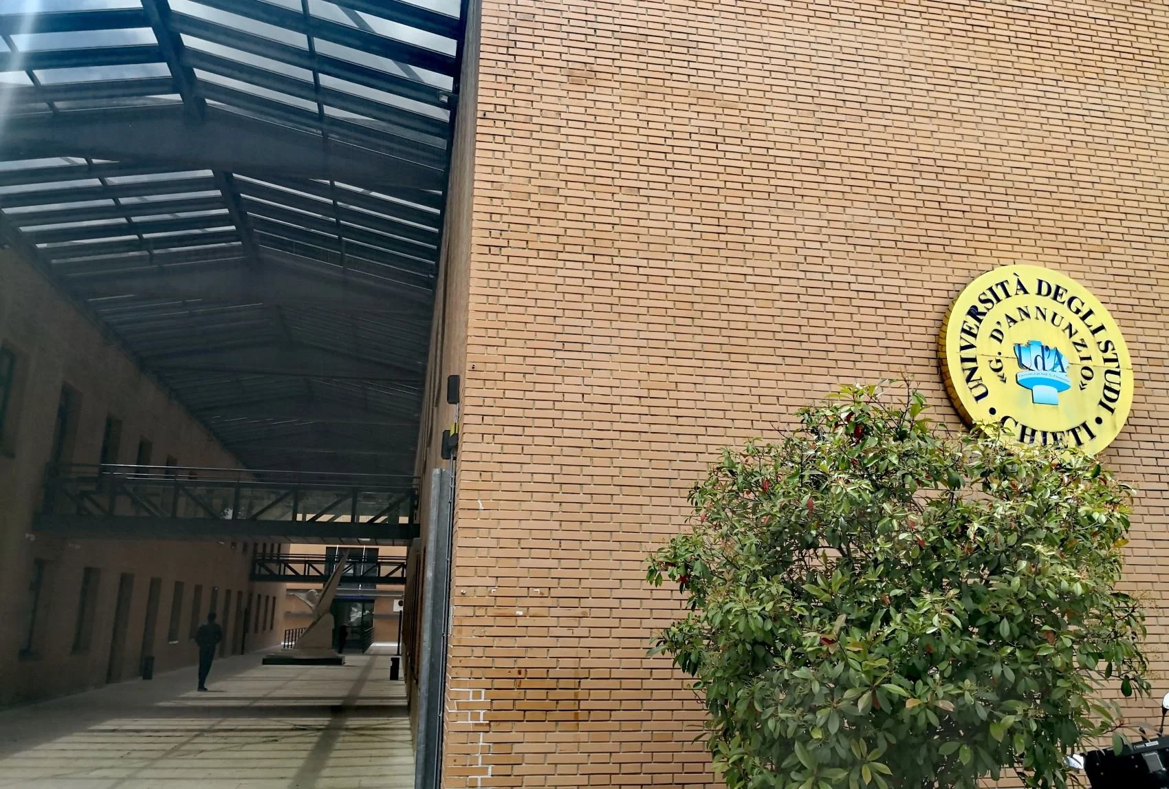 Amelia International Conservation Studies