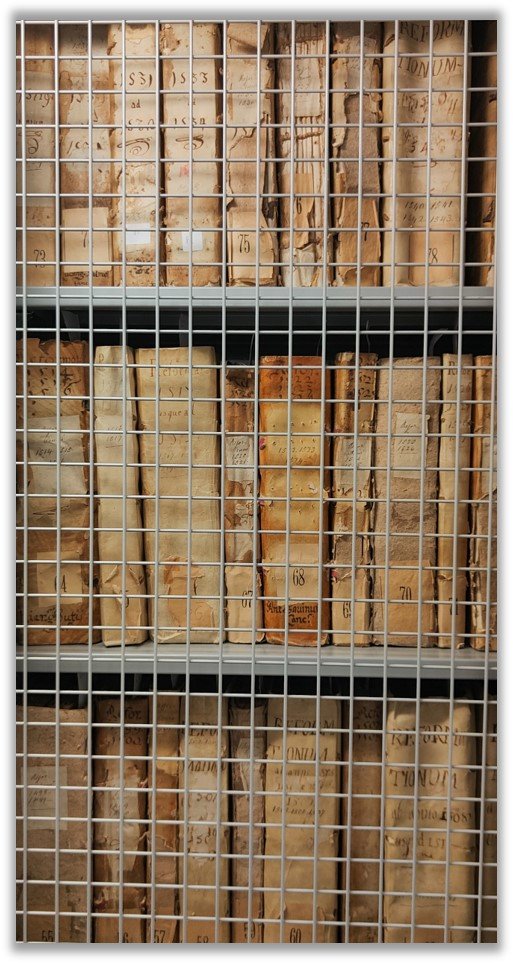 Amelia International Conservation Studies