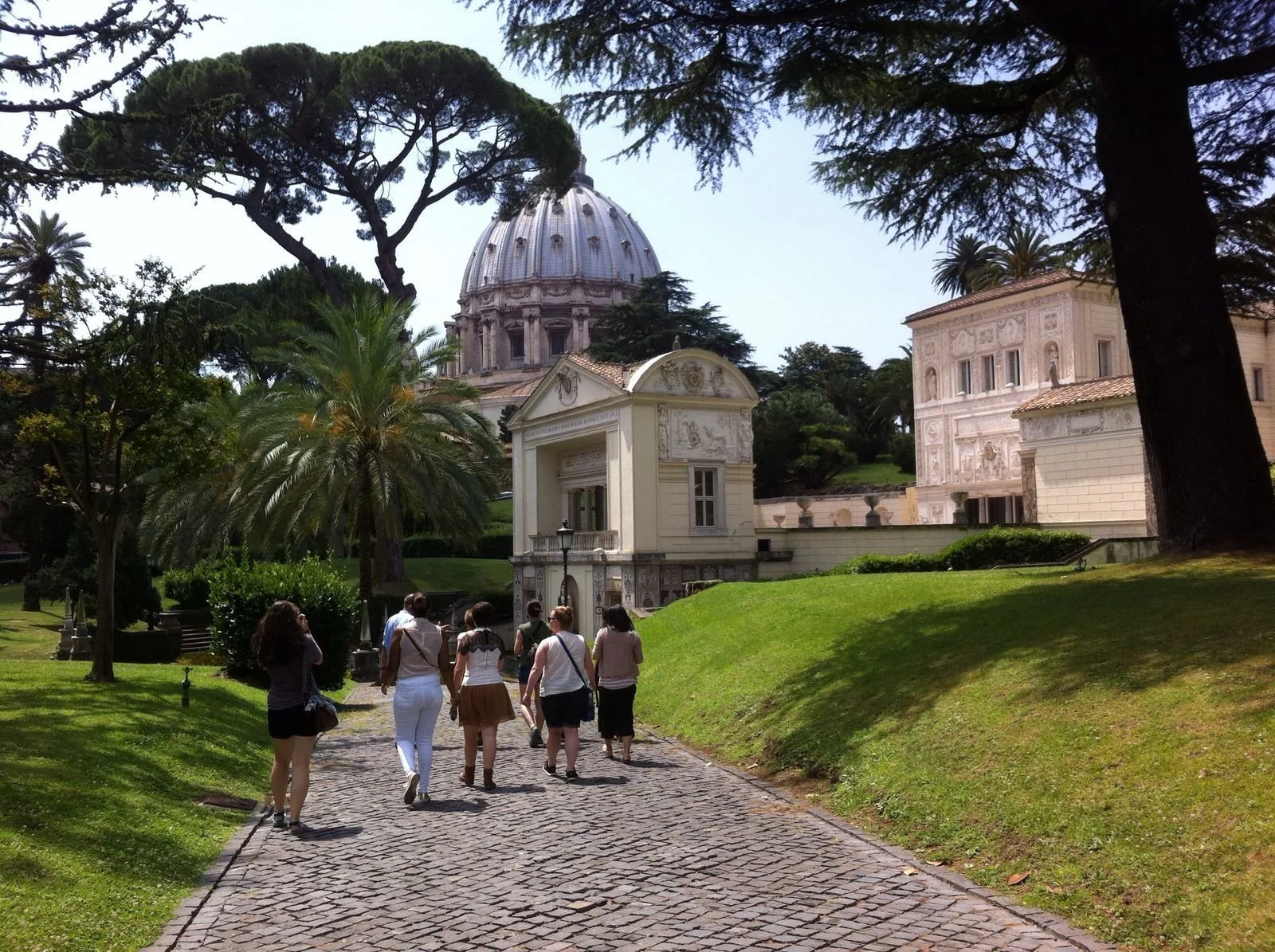 Amelia International Conservation Studies