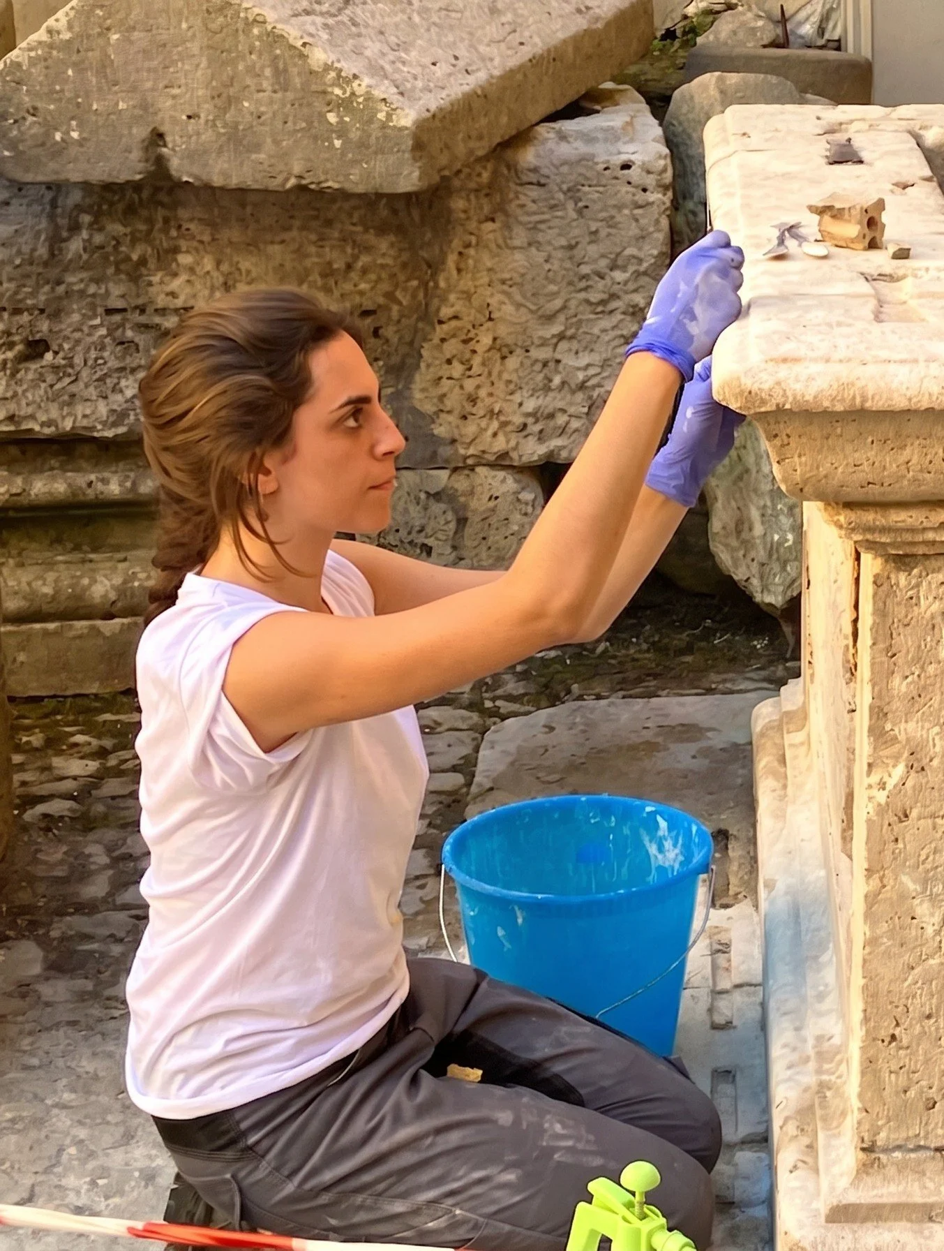 ARCIFS AICS amelia international conservation studies