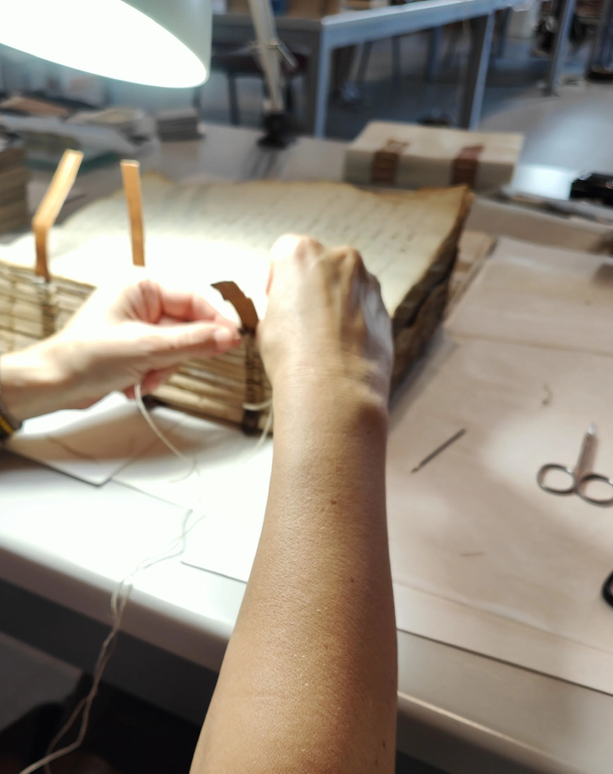 HISTORIC BOOKBINDINGS AND BOOK CONSERVATION ARCIFS AICS 3 2025