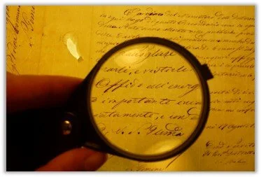 Amelia International Conservation Studies