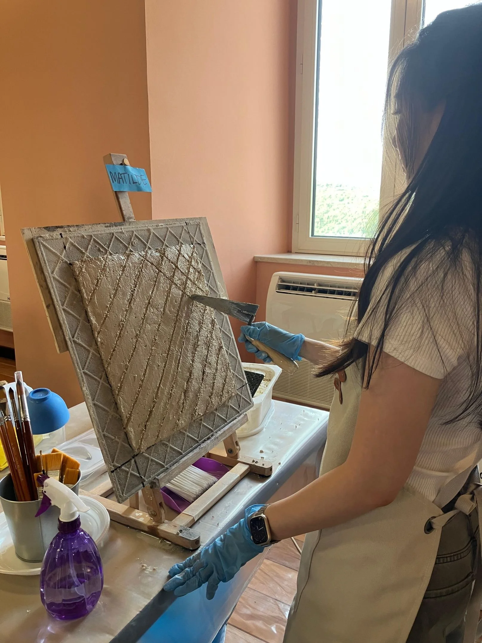 ARCIFS AICS amelia international conservation studies 2025