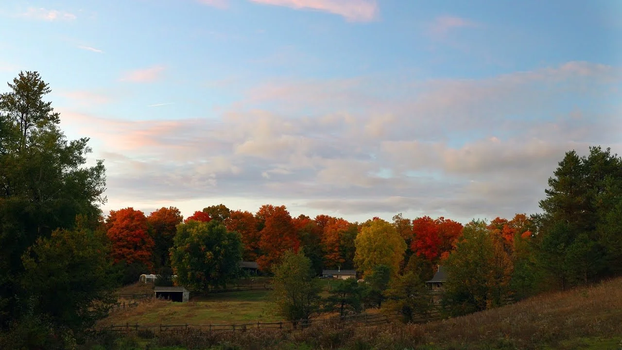 Fall Farm Escape: Caledon Colours, Campfire Feasts, and a New Audio Adventure!