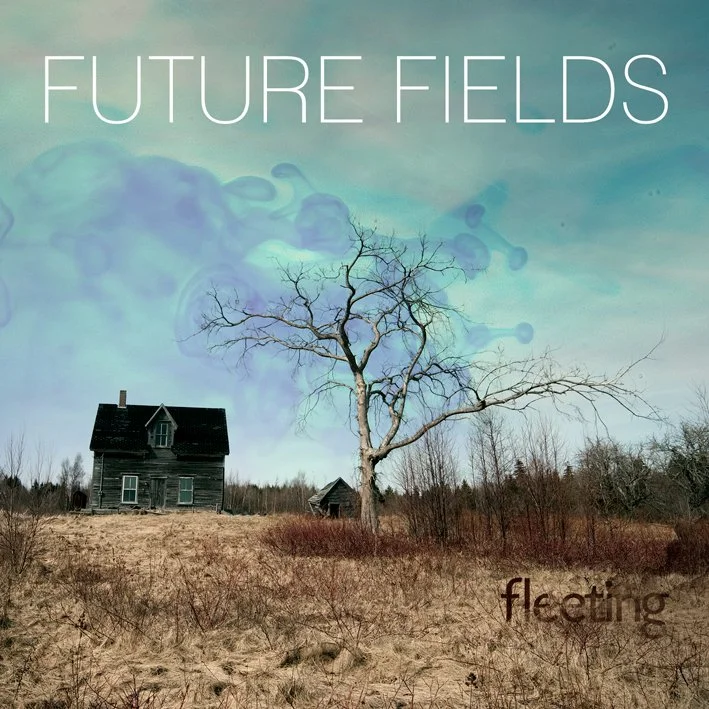 FF-FleetingCover3.jpg