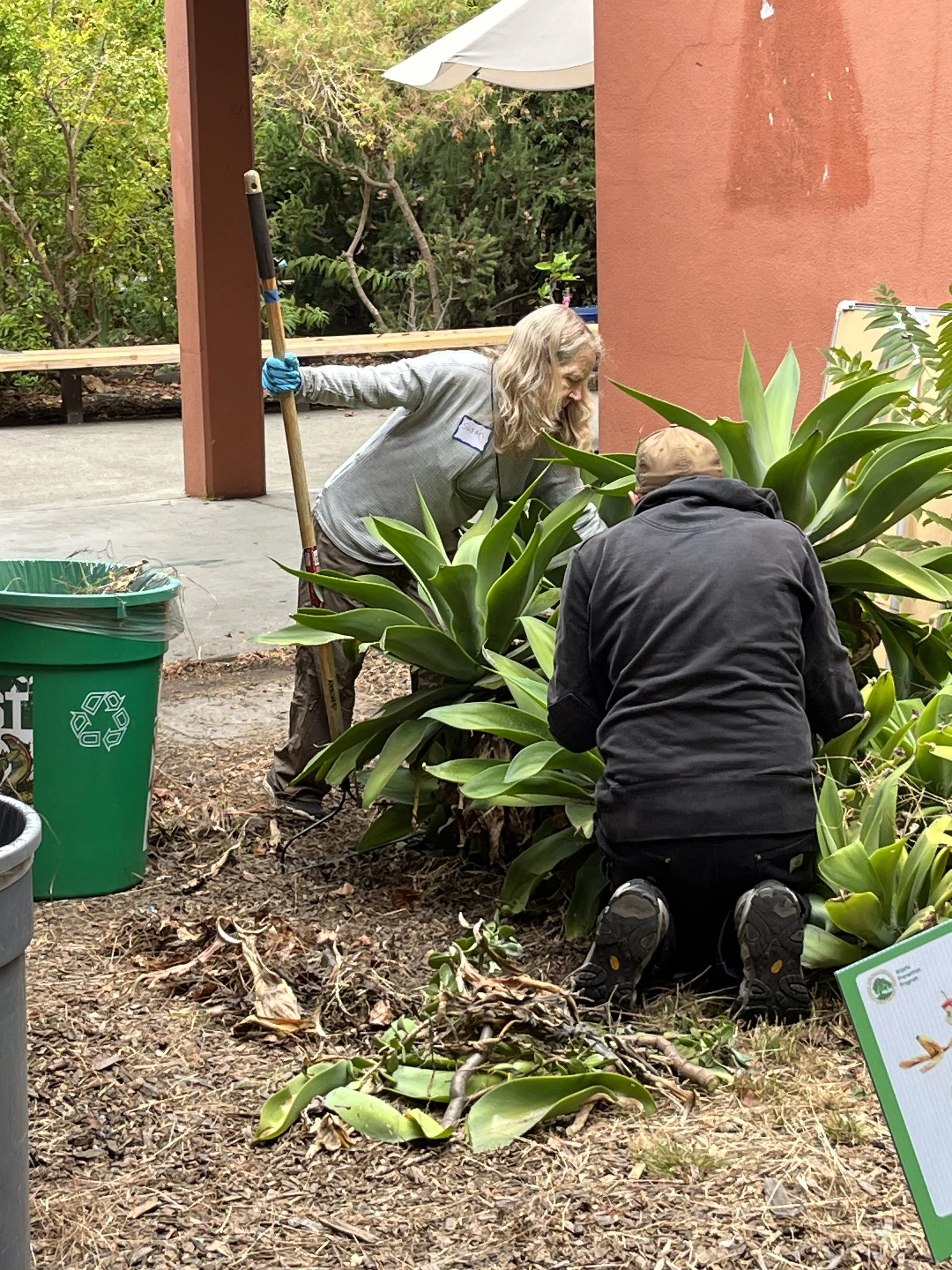 Day of Service