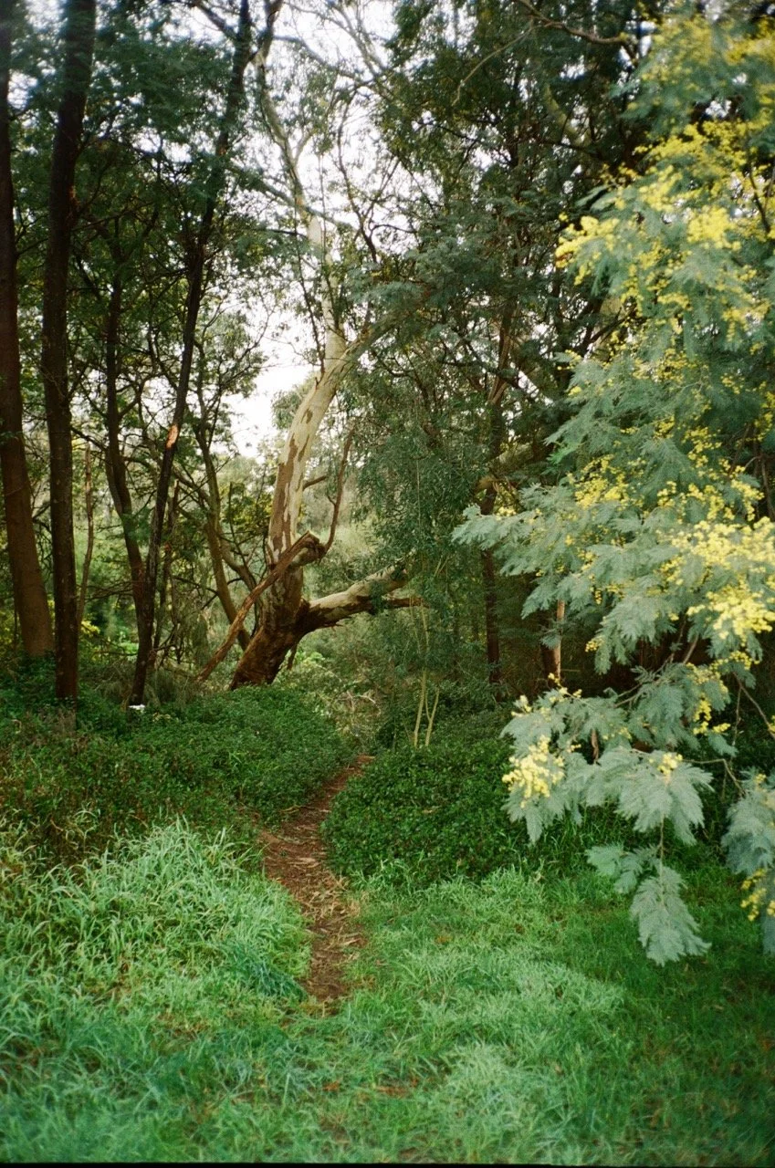 Cruising, Naked, Gay, Melbourne, Bush, LGBTQIA+