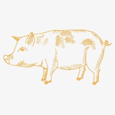 Pork Illustration.jpg