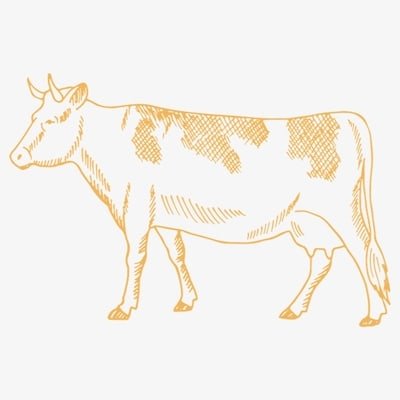 Dairy Illustration.jpg