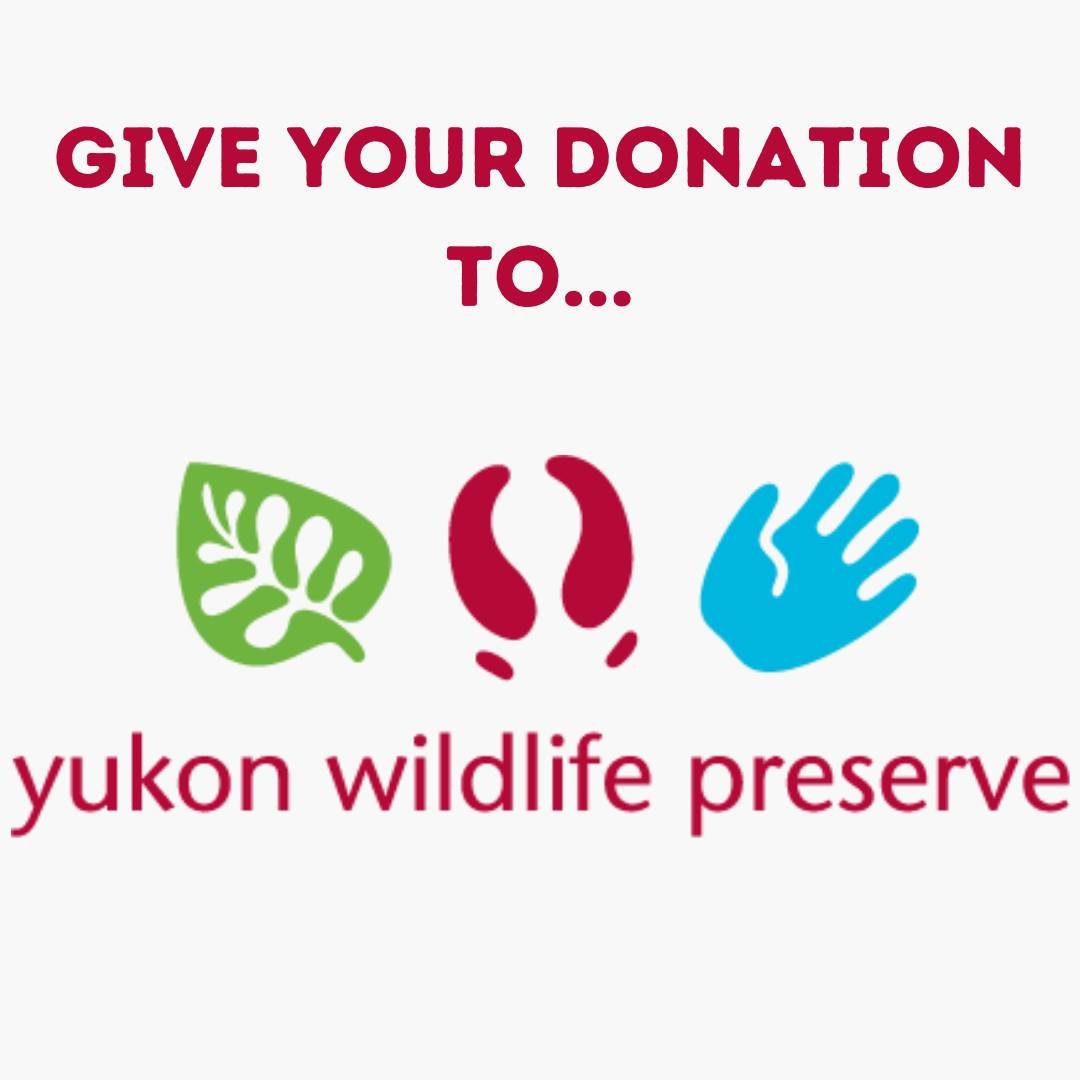 On Fridays, we're featuring donation accounts at Raven! Want to support local NGOs and charities? Consider donating your refund when you come in to recycle your beverage containers!

Today's featured organization is The Yukon Wildlife Preserve!

This