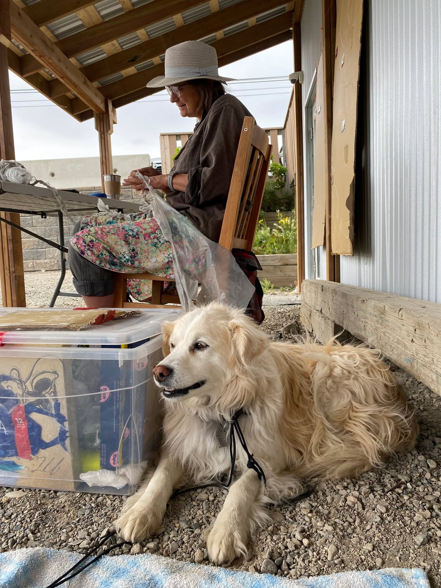 Raven extends our heartfelt condolences to @baubergernicole  for the passing of her faithful companion, Itsy.

Itsy was an environmentalist through and through, accompanying Nicole and our team in workshops and zero waste events.

Thank you for the b