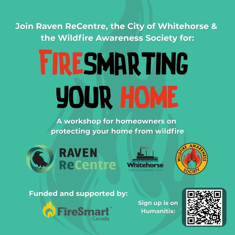 Spring has finally sprung, and we're approaching 🔥 season 👀.

Join Raven ReCentre, @City of Whitehorse, Yukon's FireSmart program, and the Wildfire Awareness Society in our upcoming workshop: Firesmarting Your Home 🏠.

Full details is available on