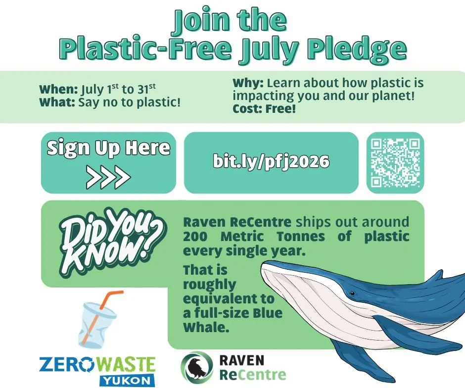 You might have seen the posters around town already... 👀

If you haven't, well I'm glad to make the introduction!

For the month of July, Raven ReCentre is inviting you to go plastic-free! 🥤🙅&zwj;♂️

Don't worry; we understand the logistics of it 