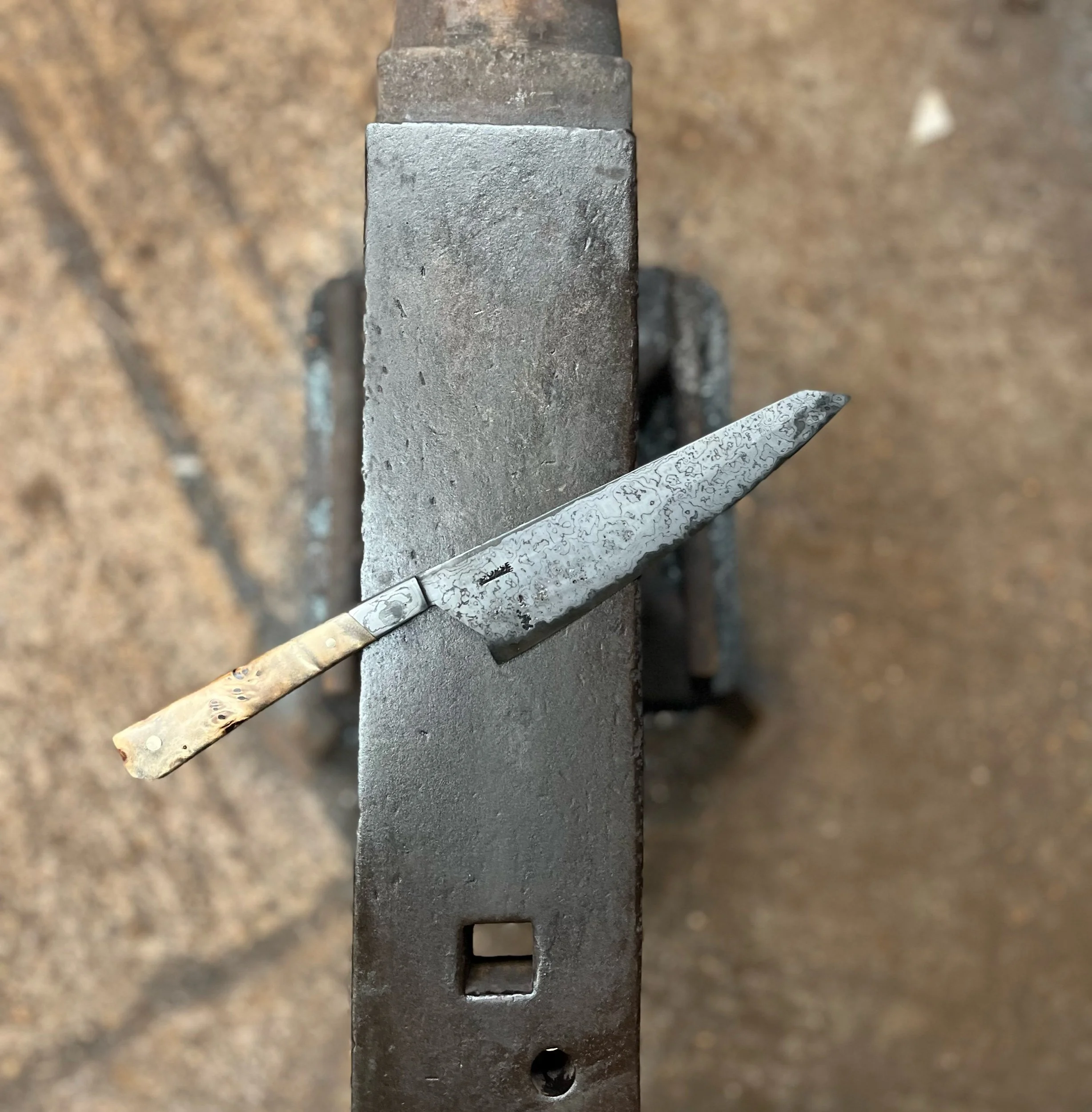 Ready to ship - 20cm Gyuto With Poplar Burl Handle And Walnut Guard