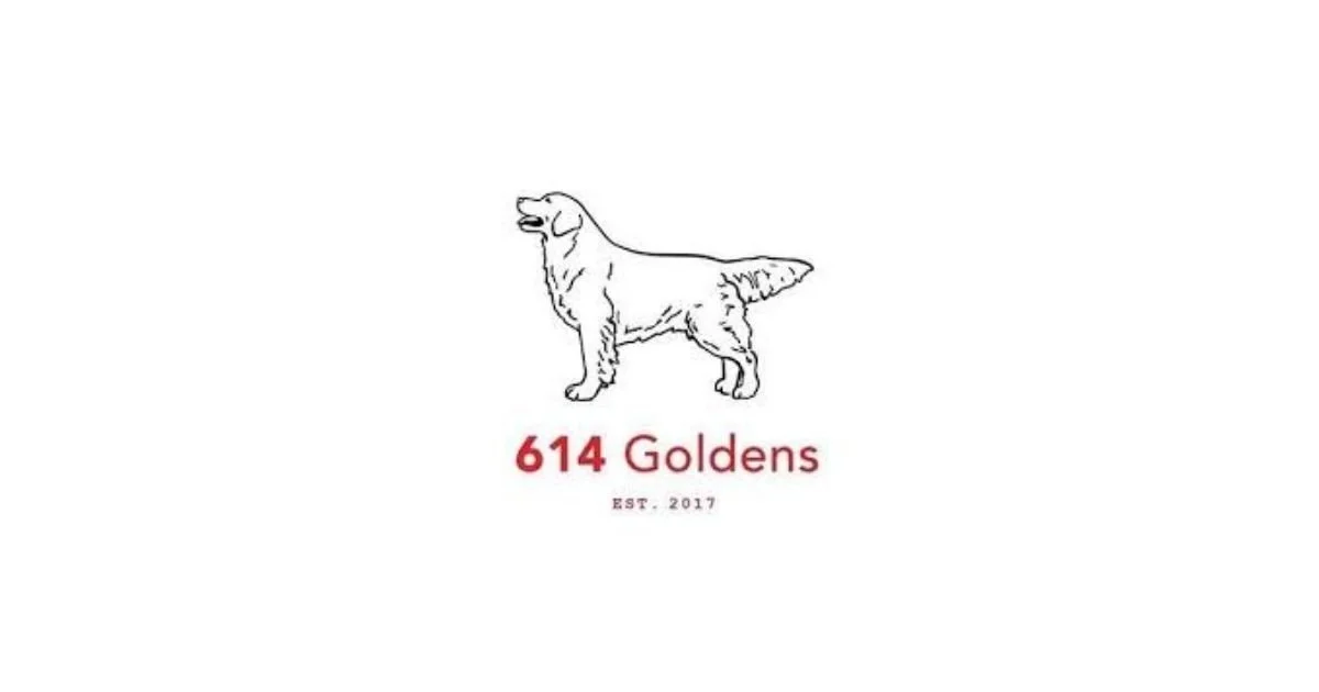 614 Goldens Meet-Up