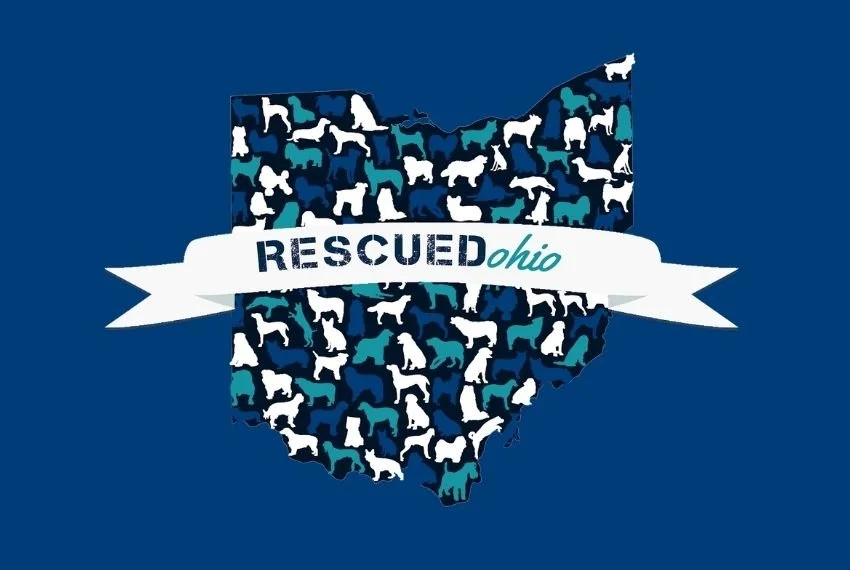 RESCUEDohio at OTR