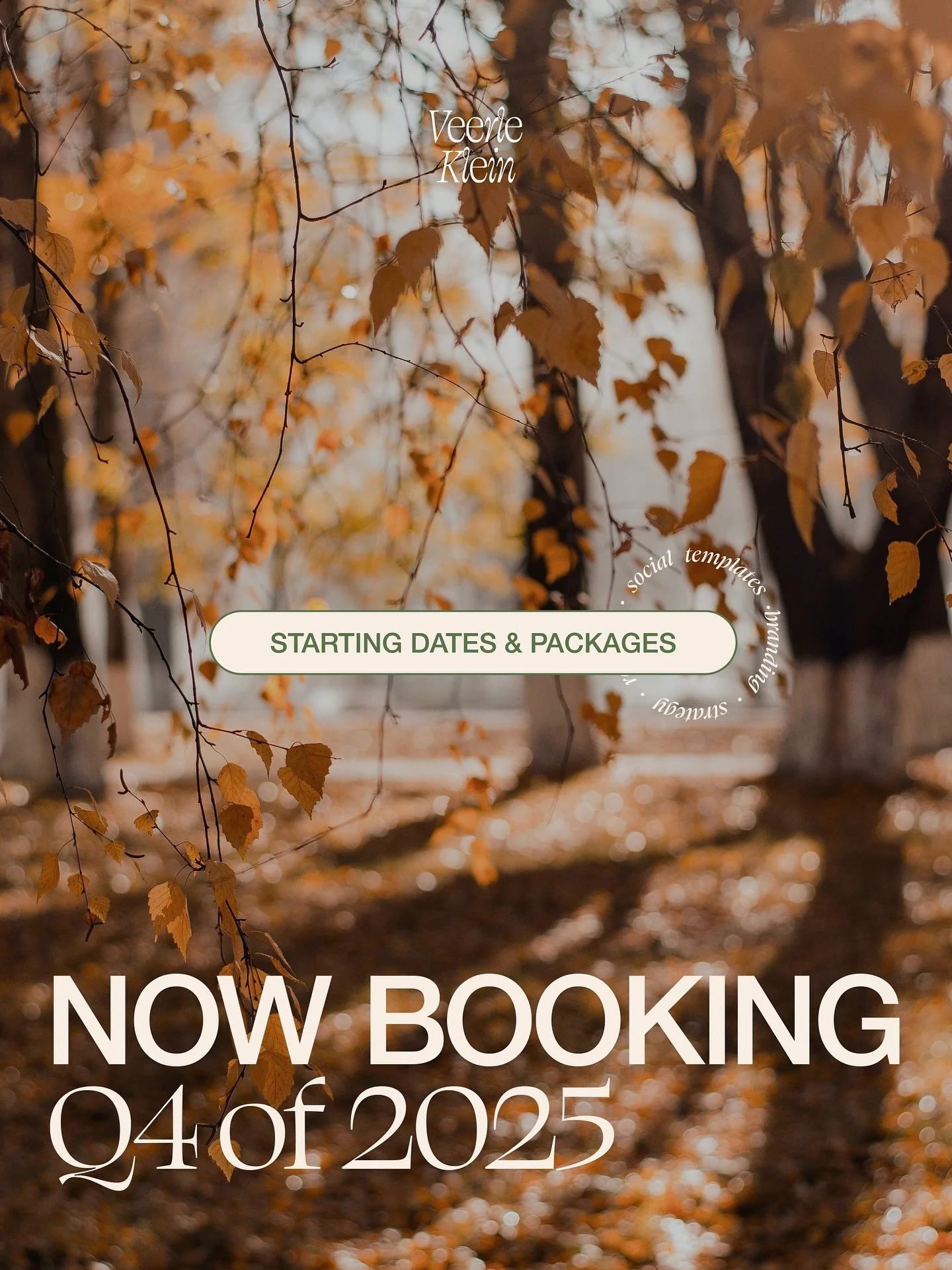 Dreaming of transforming your brand visuals to launch fresh into 2026? Let&rsquo;s make that dream come true &mdash; now booking Q4 ✨

Swipe to see starting dates + package options that are still available. Interested in a custom package? Inquire tod