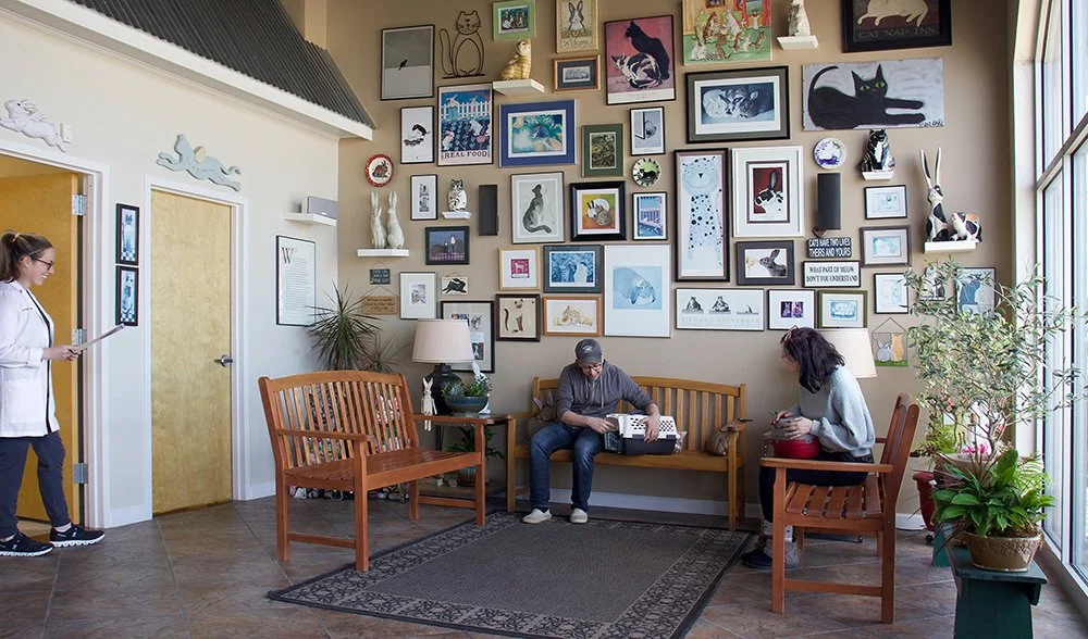 Catnip & Carrots Veterinary Hospital