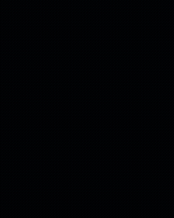 Black Stallion Painting