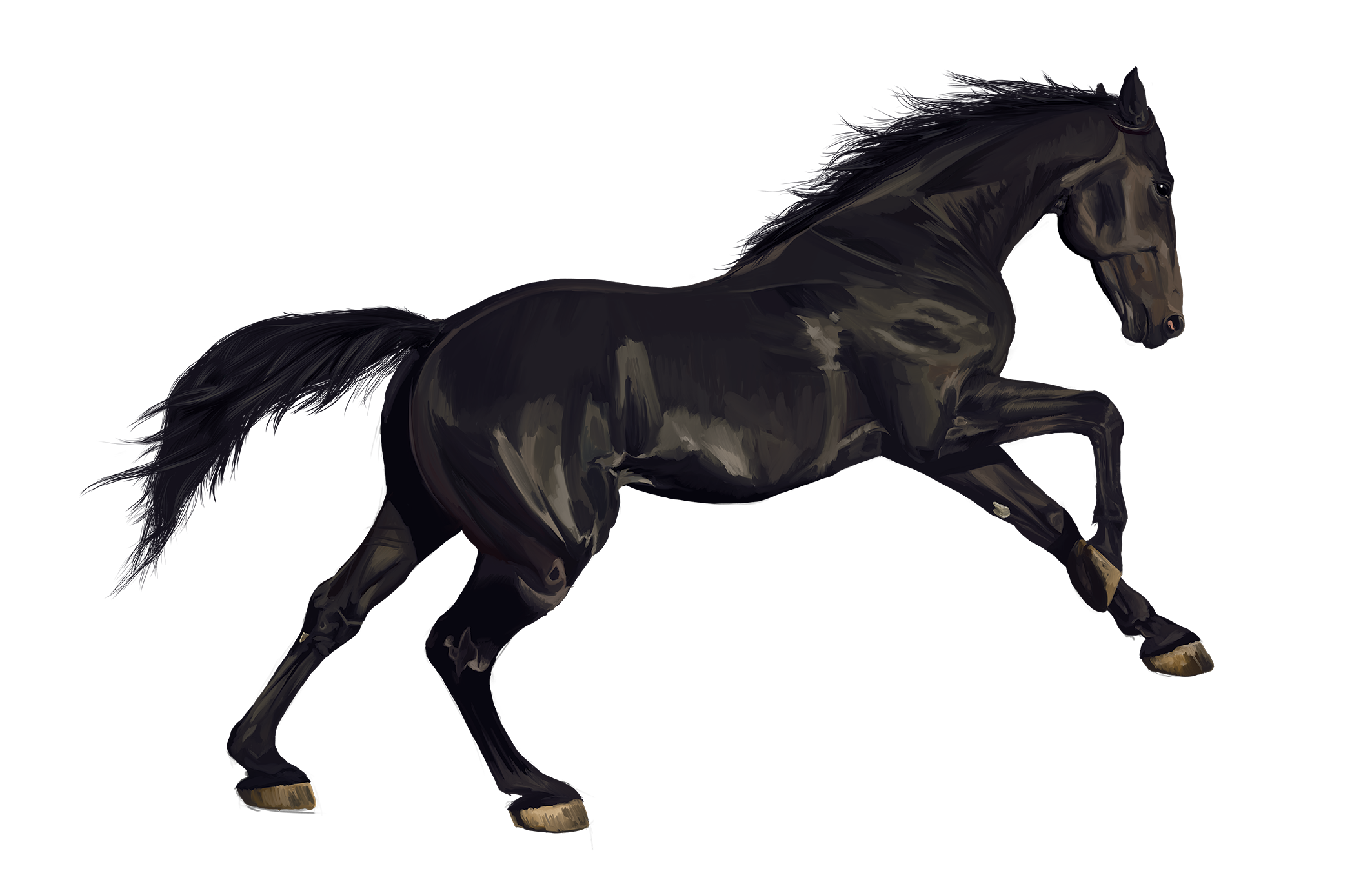 BUS24-106_Black_Stallion_Horizontal_Small.png