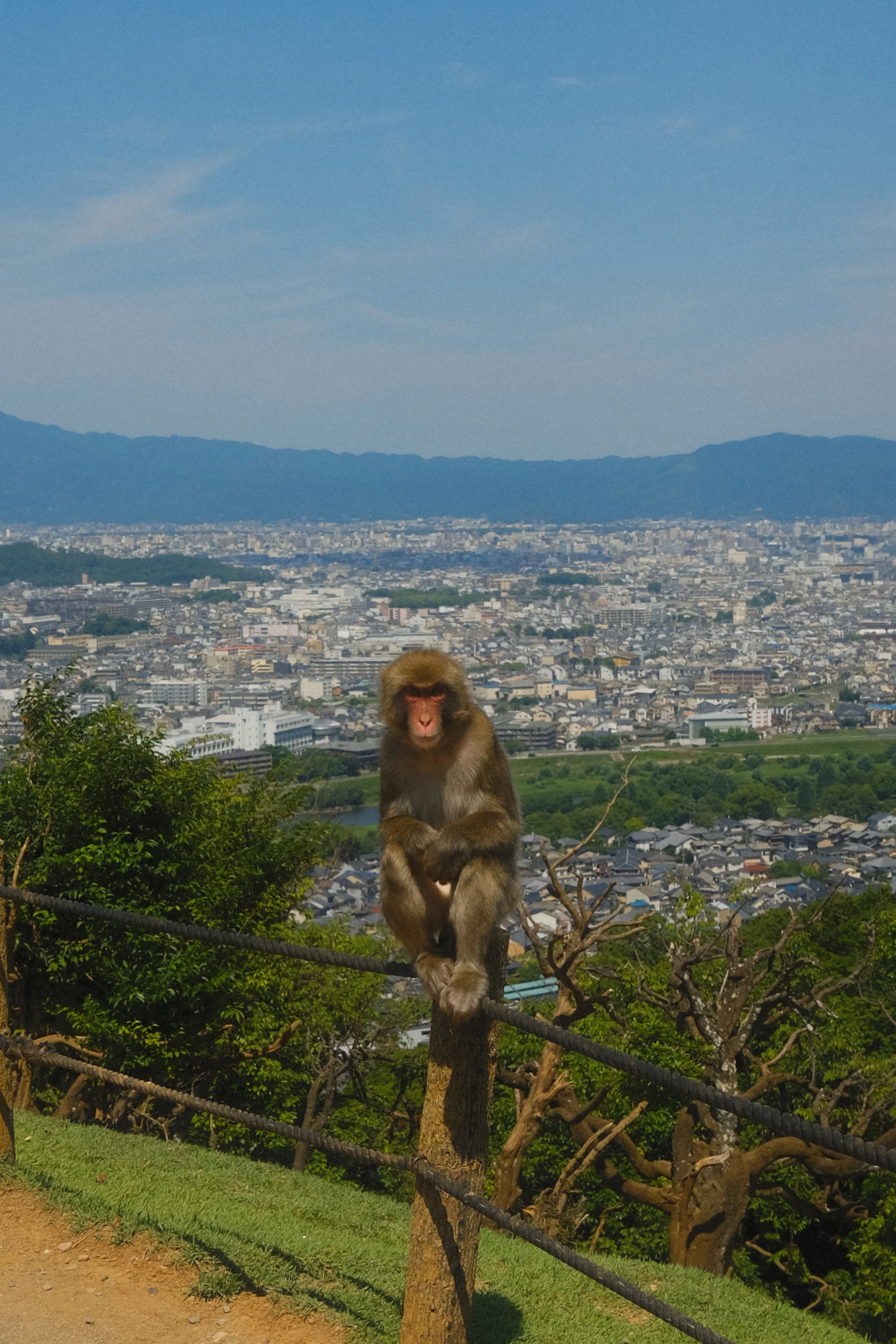 BCA76A92-757C-4ABC-BD6F-0CAFE78BB0BB.jpeg