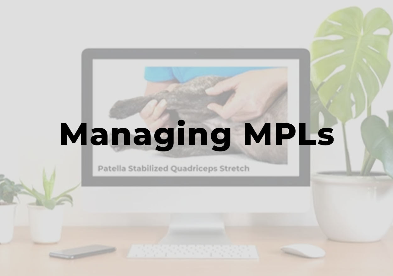 Managing MPLs