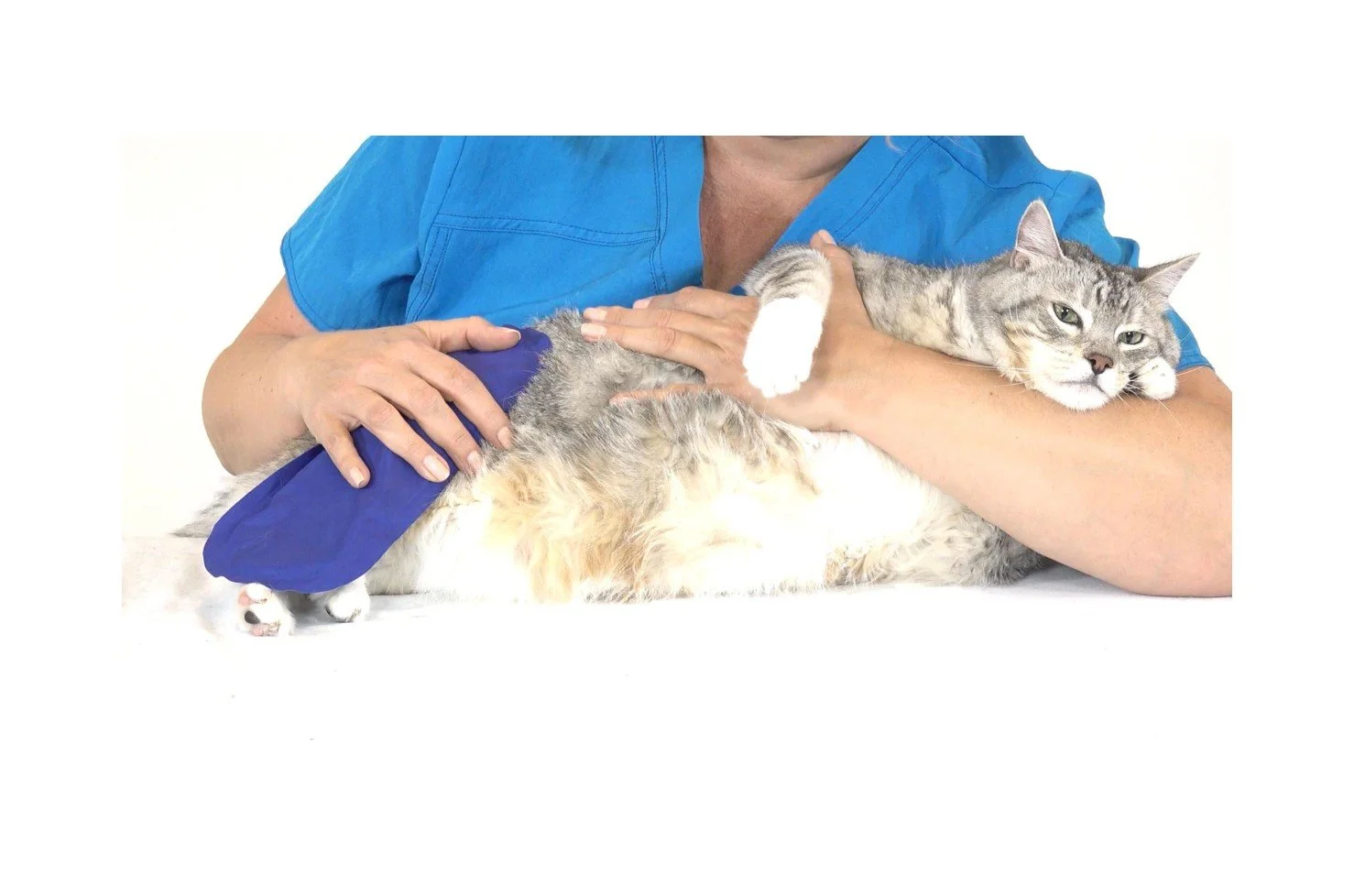 Related Video Item Thumbnail