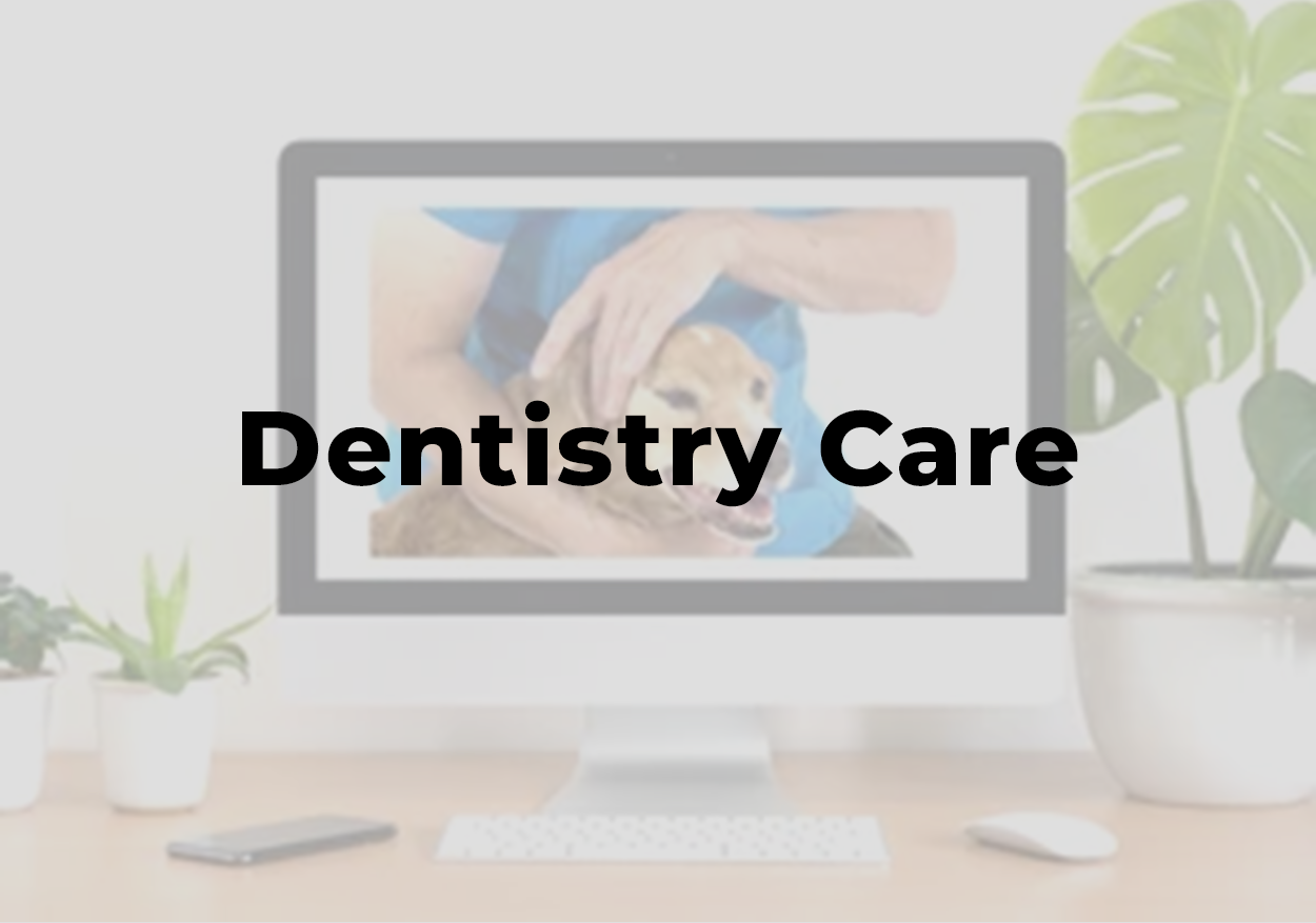 picture reading "dentistry care"