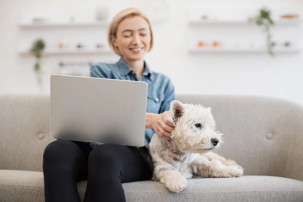 Improve Client Compliance &amp; Engagement — GoGoCharlie
