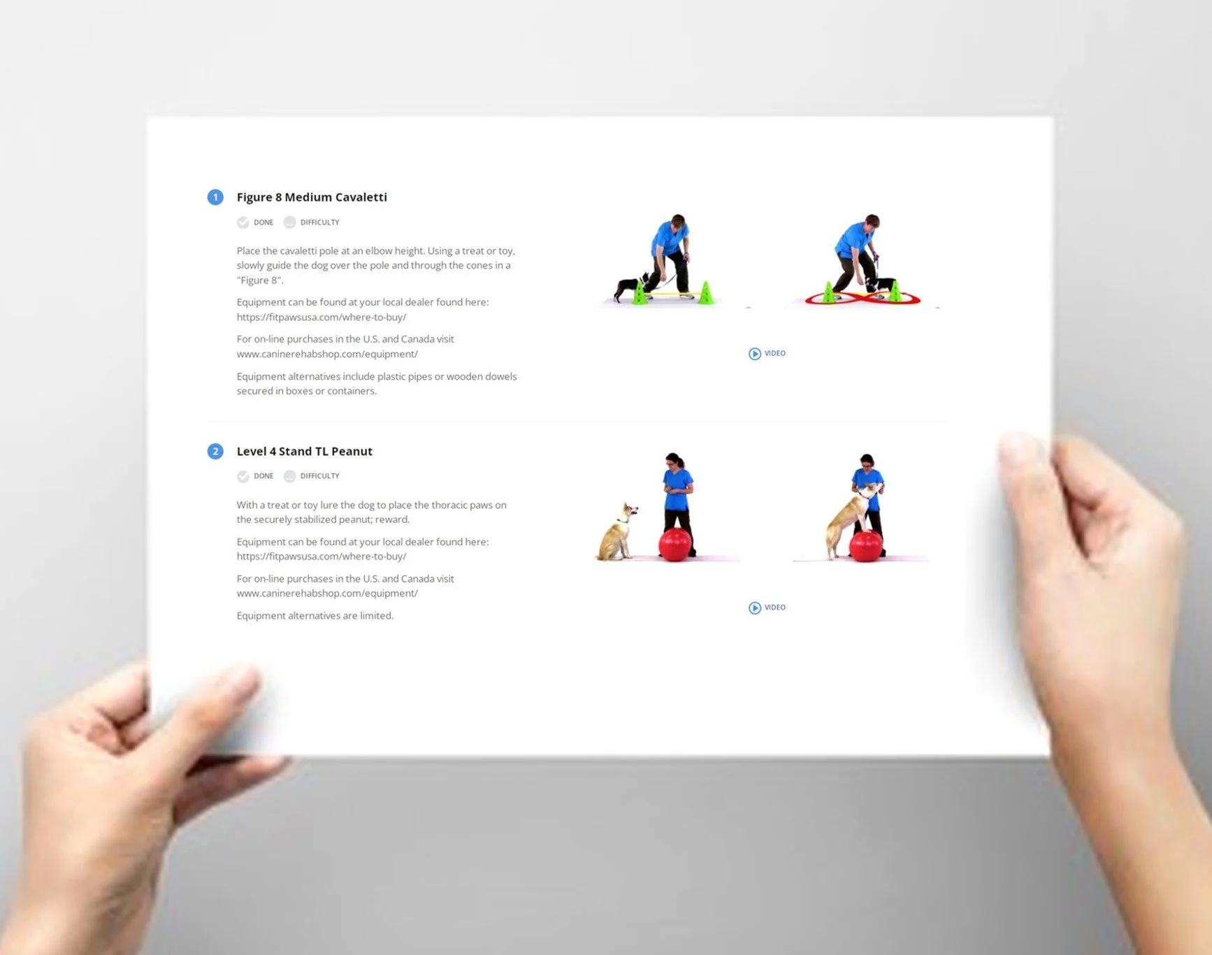 Custom Print Handouts