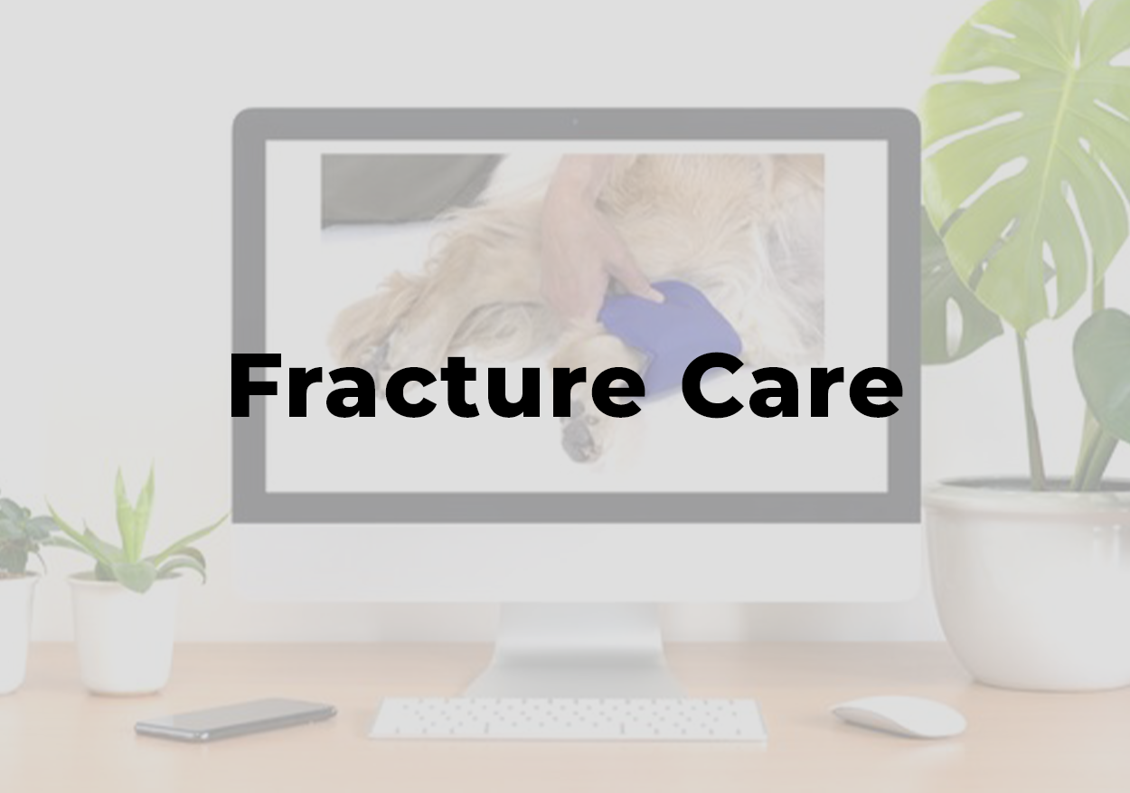 Picture reading "fracture care"